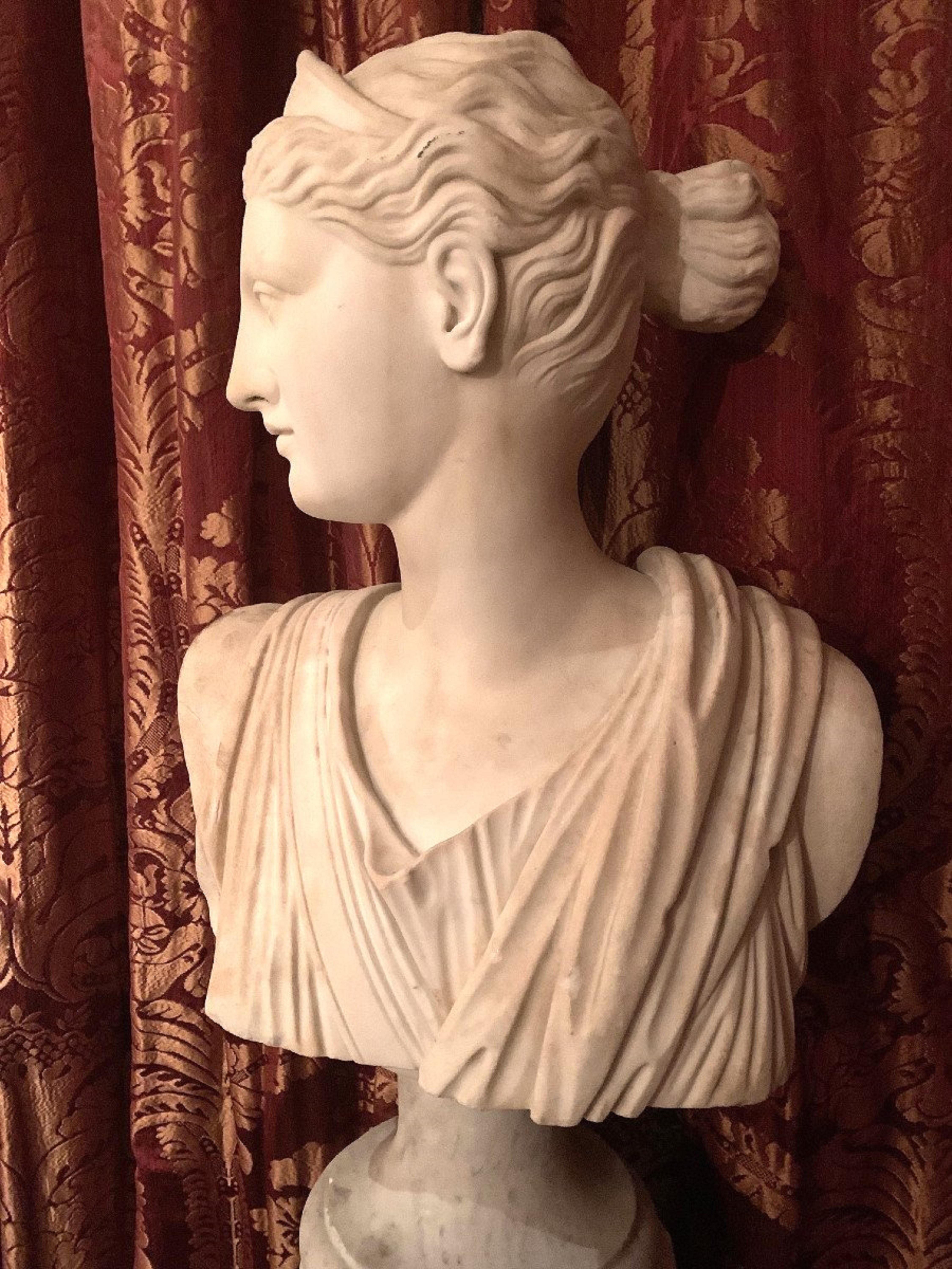Pair of Marble Busts on a Column, 19th Century  1