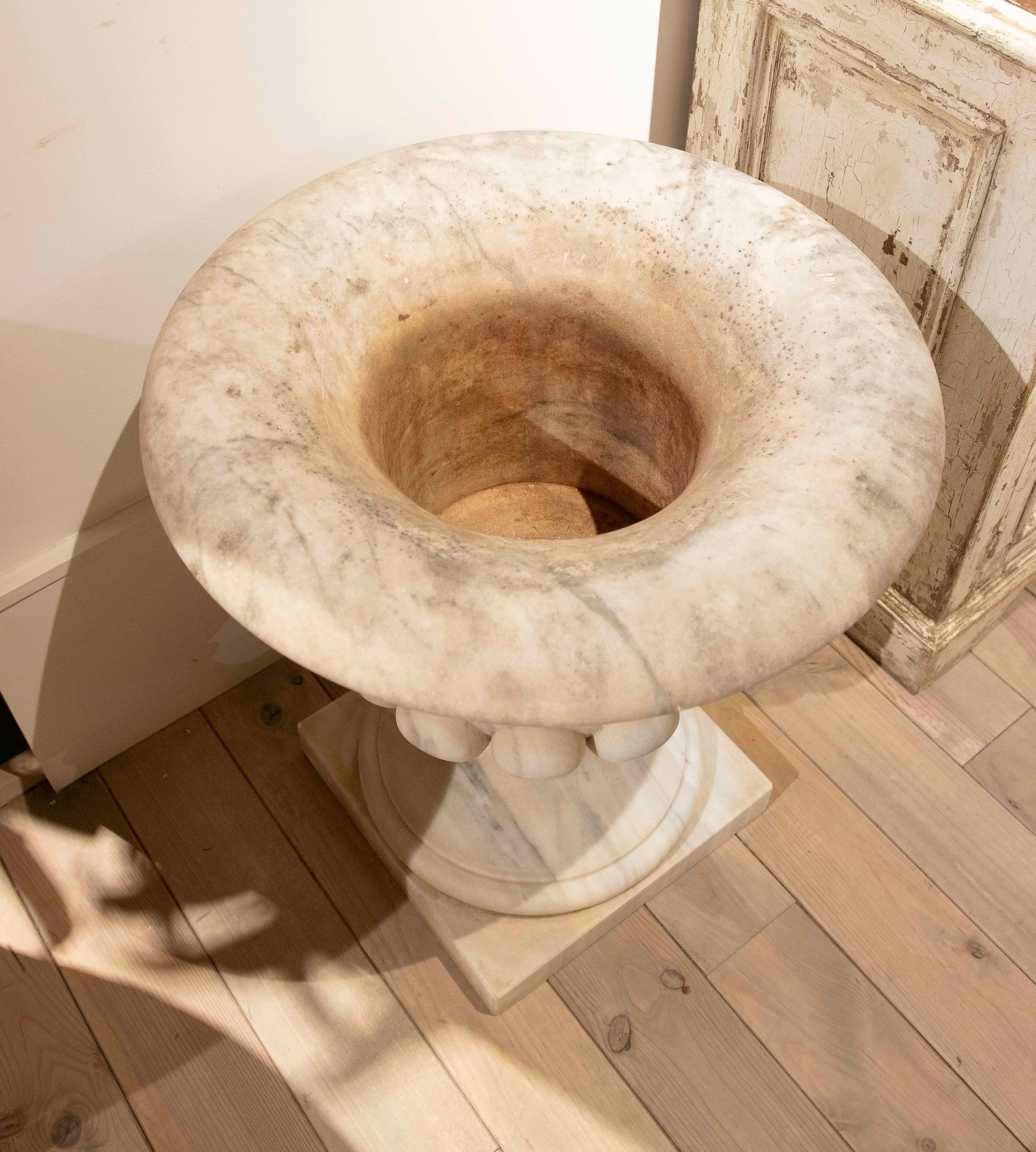 Pair of Marble Cups in Natural White Marble with Rounded Edges 11