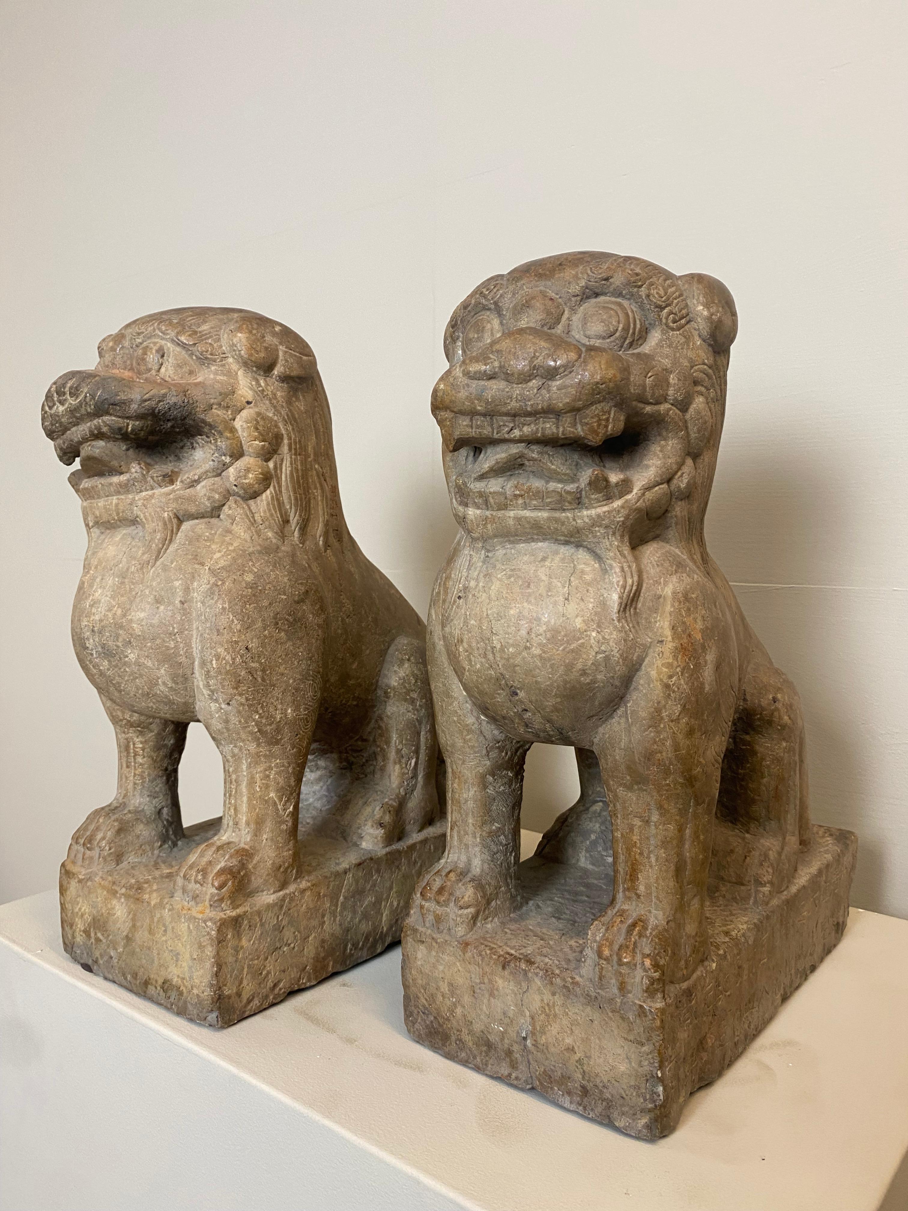 Polished Exceptional Pair of Marble Lions from China with great, old patina, Ming Period For Sale