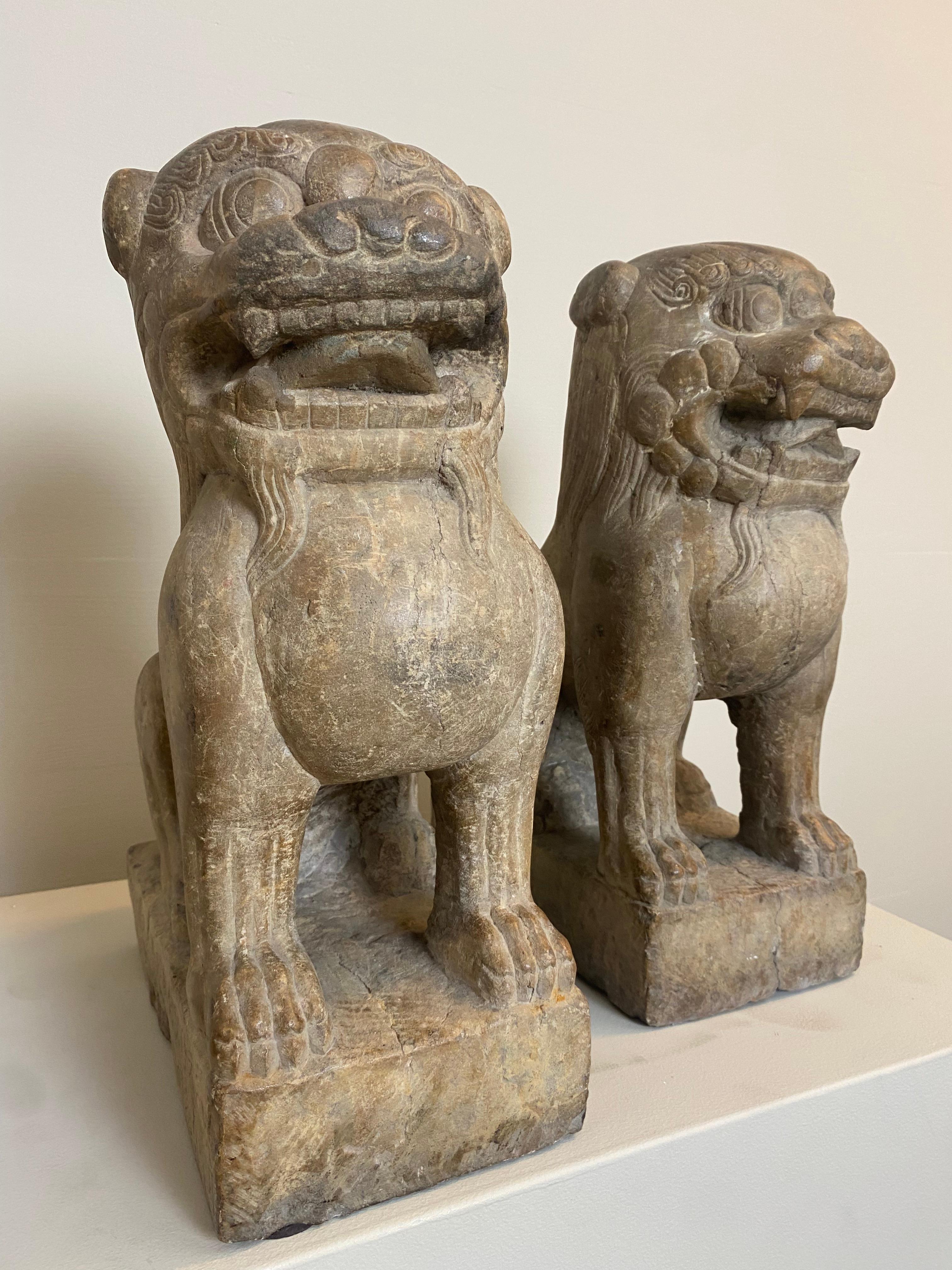 Außergewöhnliches Paar Marmorlöwen aus China mit großer, alter Patina, Ming-Periode im Zustand „Gut“ im Angebot in Schellebelle, BE