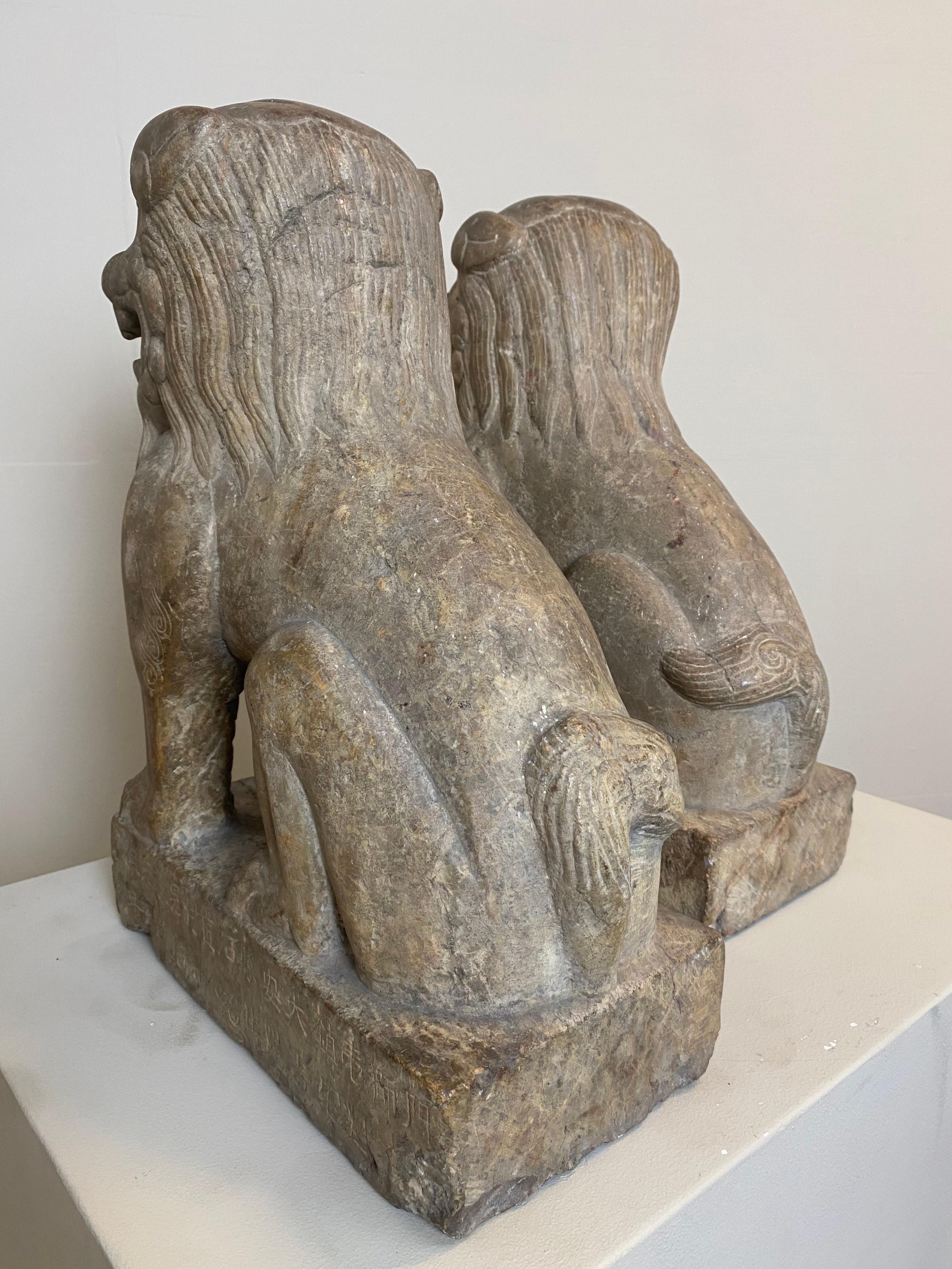 Exceptional Pair of Marble Lions from China with great, old patina, Ming Period 2
