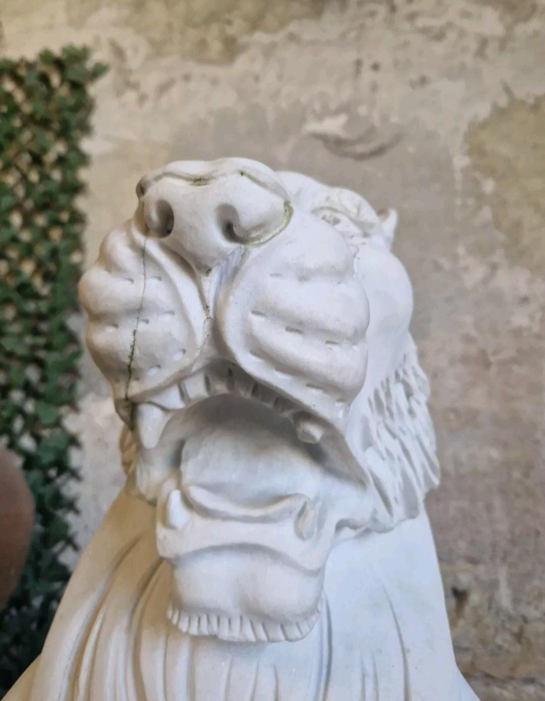 Coppia di statue di leoni in marmo a grandezza naturale in vendita 2