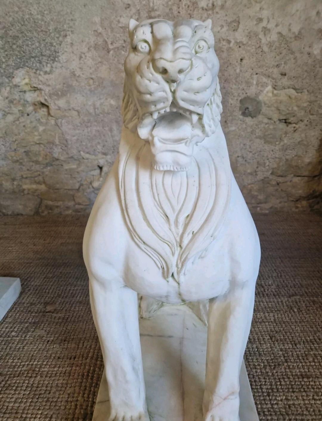 Coppia di statue di leoni in marmo a grandezza naturale in vendita 5
