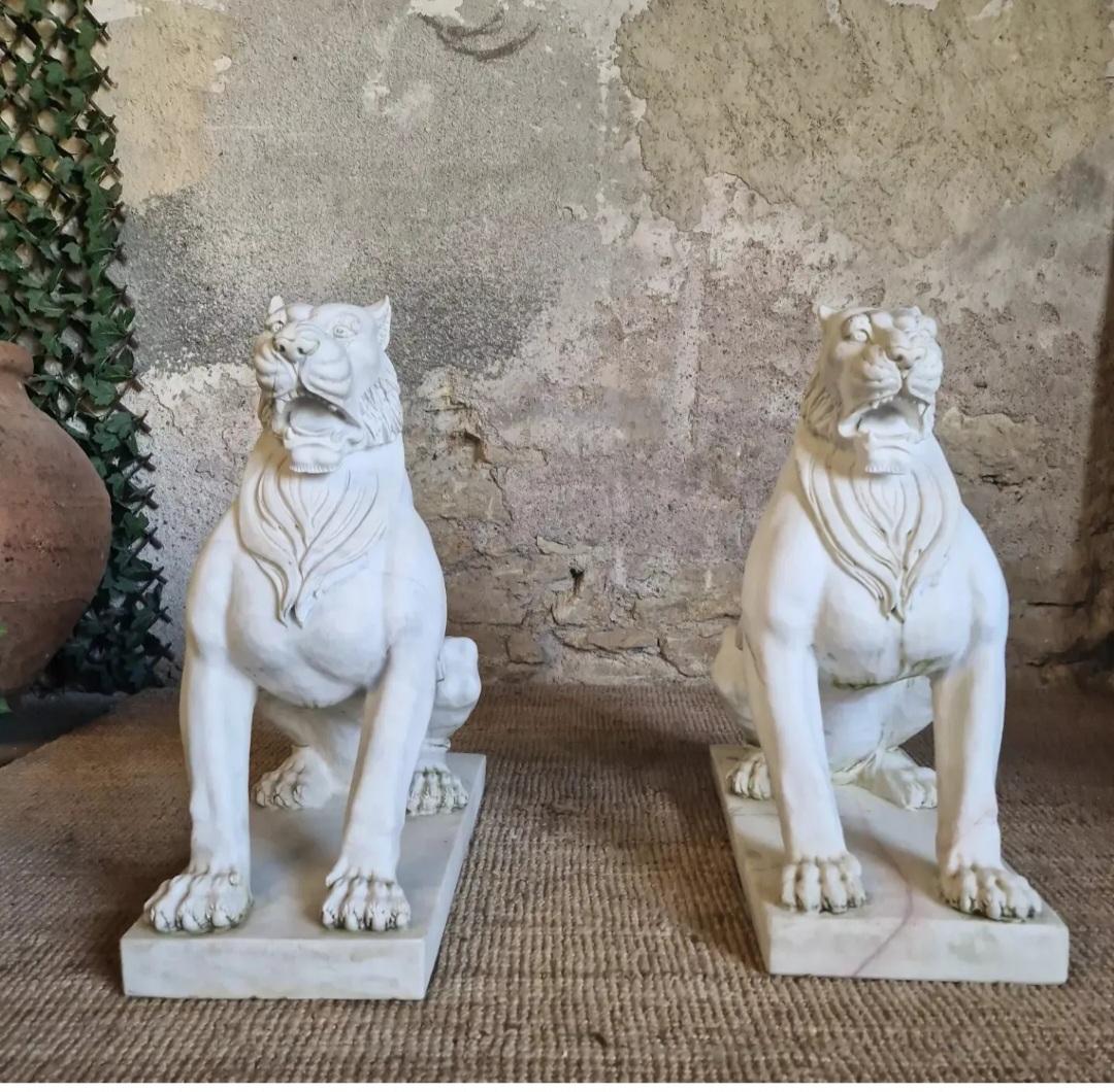 Siamo lieti di offrire in vendita questa coppia di favolose statue di leoni in marmo.

Queste fantastiche statue da esterno o da interno raffigurano dei leoni seduti che fanno la guardia.

Le statue sono ben conservate e presentano segni dell'età,