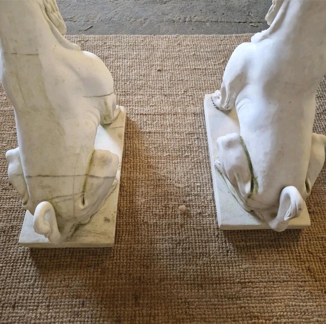 Art Nouveau Coppia di statue di leoni in marmo a grandezza naturale in vendita