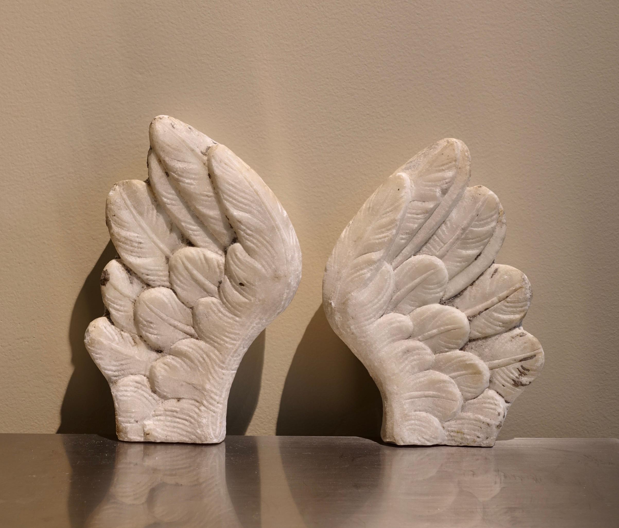Coppia di ali in marmo
u2028Italia, 18° secolo
16,5 x 11 x 3,5 cm

Scolpita in marmo bianco, questa coppia di ali finemente eseguita raffigura un piumaggio disposto a strati sovrapposti, suggerendo movimento e leggerezza. Lo scultore ha prestato
