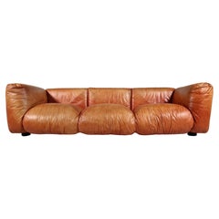 Marius & Marius 3-Seater Sofa by Mario Marenco for Arflex, 1970s