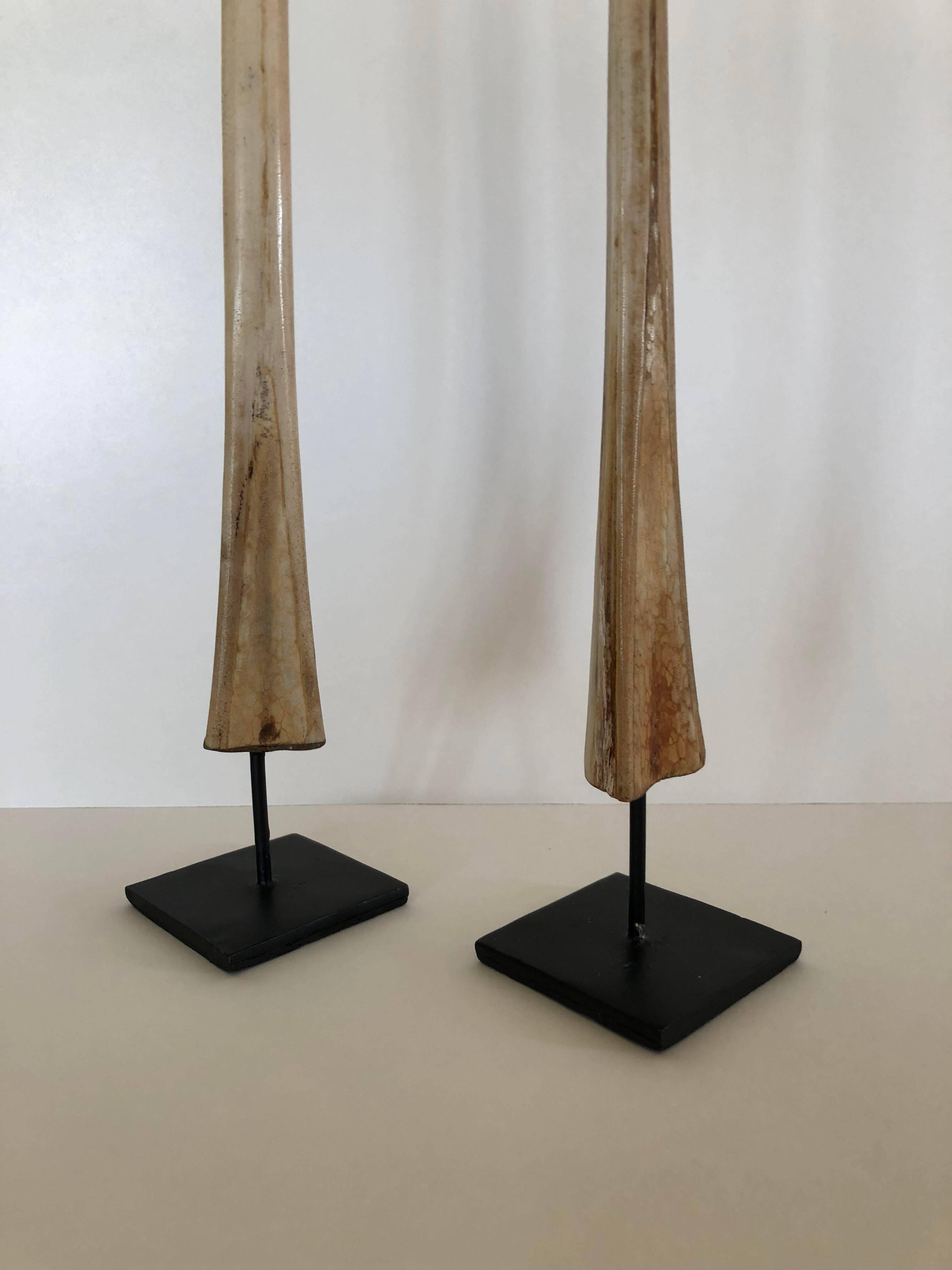 Pair of marlin (fish) bills mounted on stands.