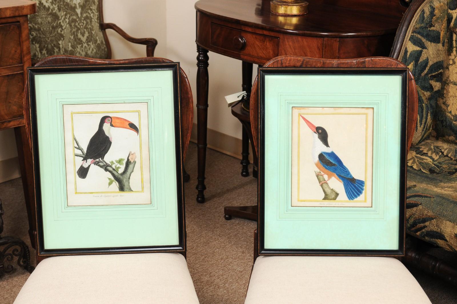 The pair of Martinet bird engravings with later hand coloring in black, white, orange and blue hues. The engravings matted in a sea-foam green with black painted frames.



 