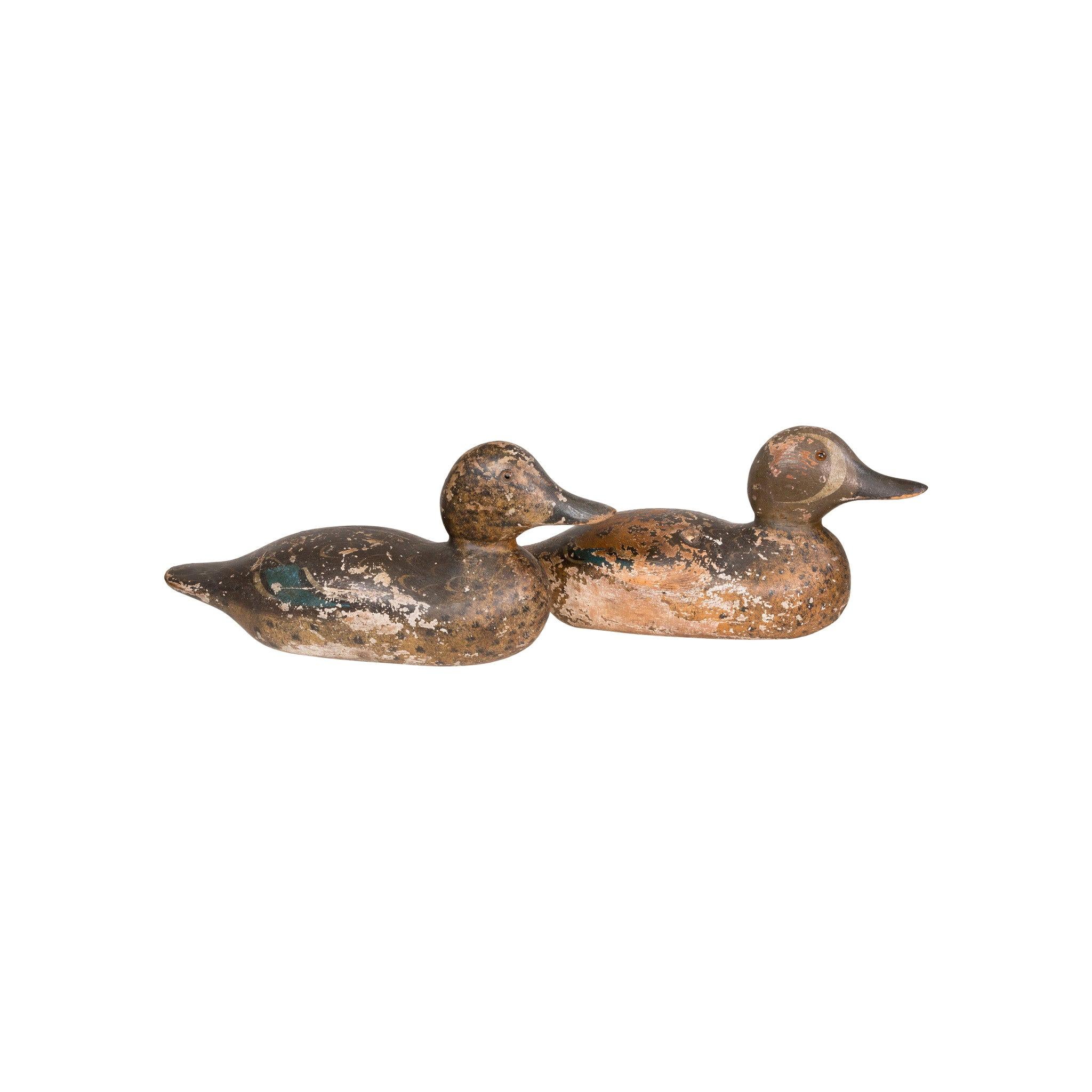 Pair of Mason Blue Wing Teal Decoys