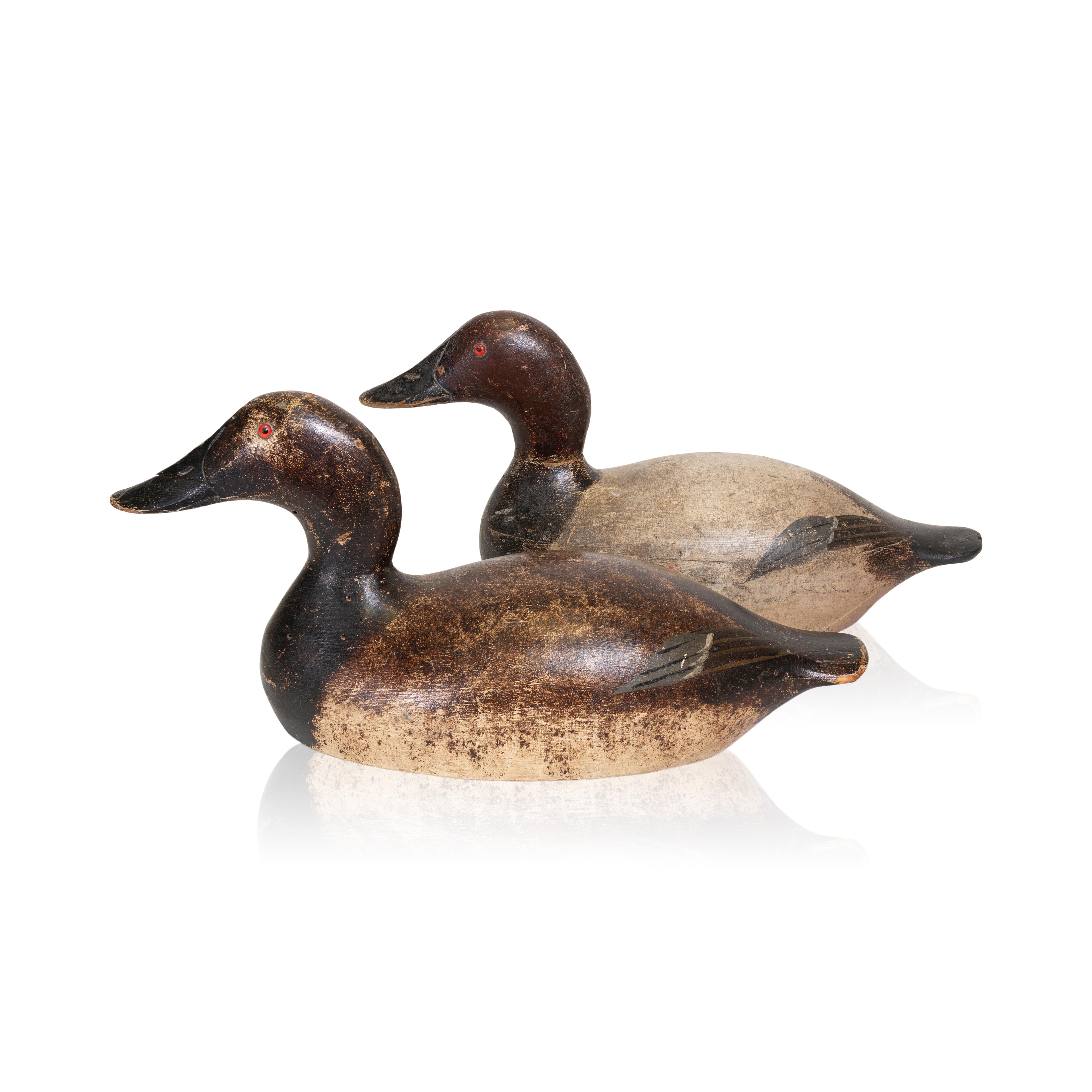 Pair of Evans Factory canvasbacks
Item Number: Y606A

Pair of Evans Factory canvasbacks. Original paint, hand carved, glass eyes. Were used in Wisconsin. Almost complete wing paint remains. One bottom carved W.E.T. Assume the hunter.

Period: