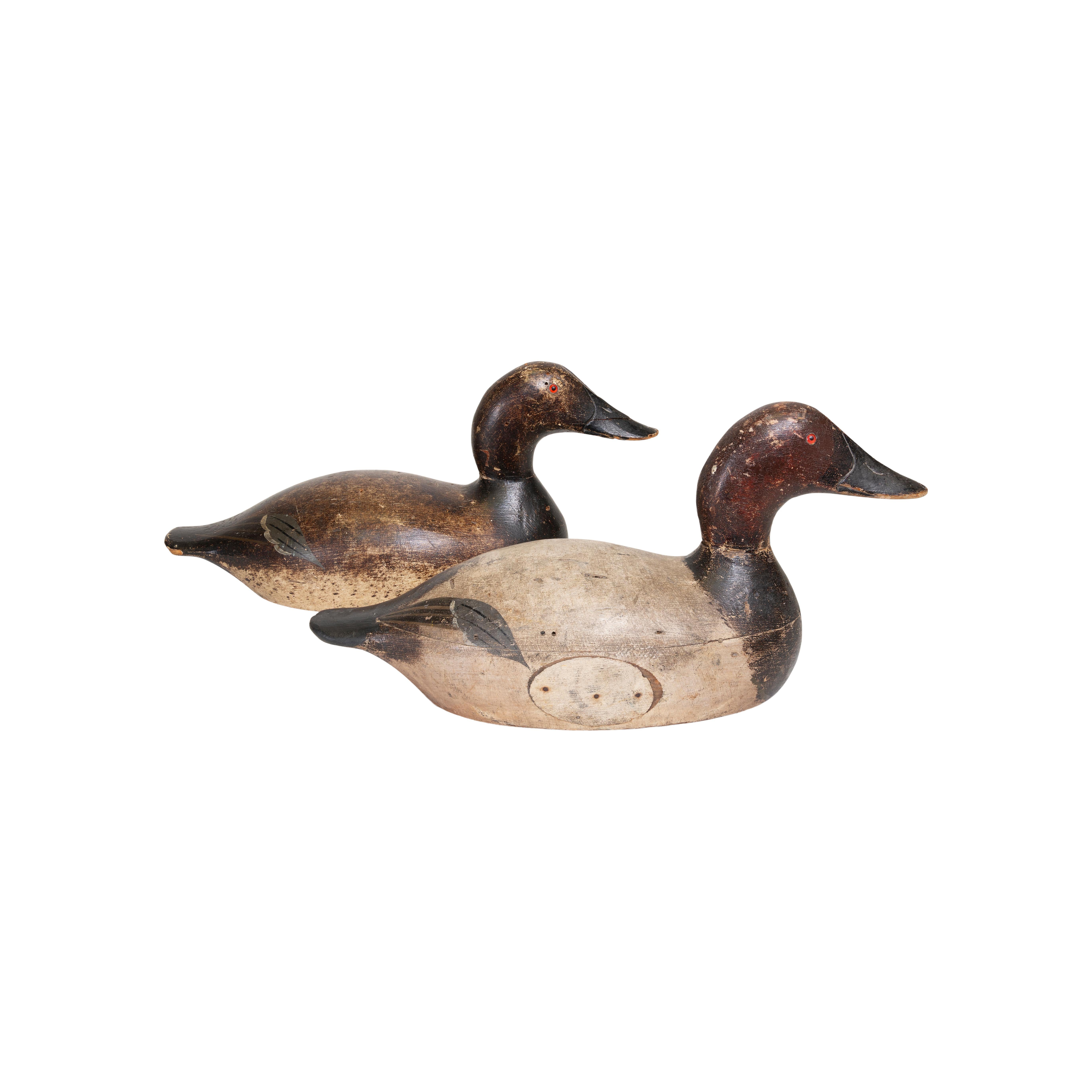 Hand-Carved Pair of Mason Detroit Grade Canvasback Decoys, circa 1920 For Sale