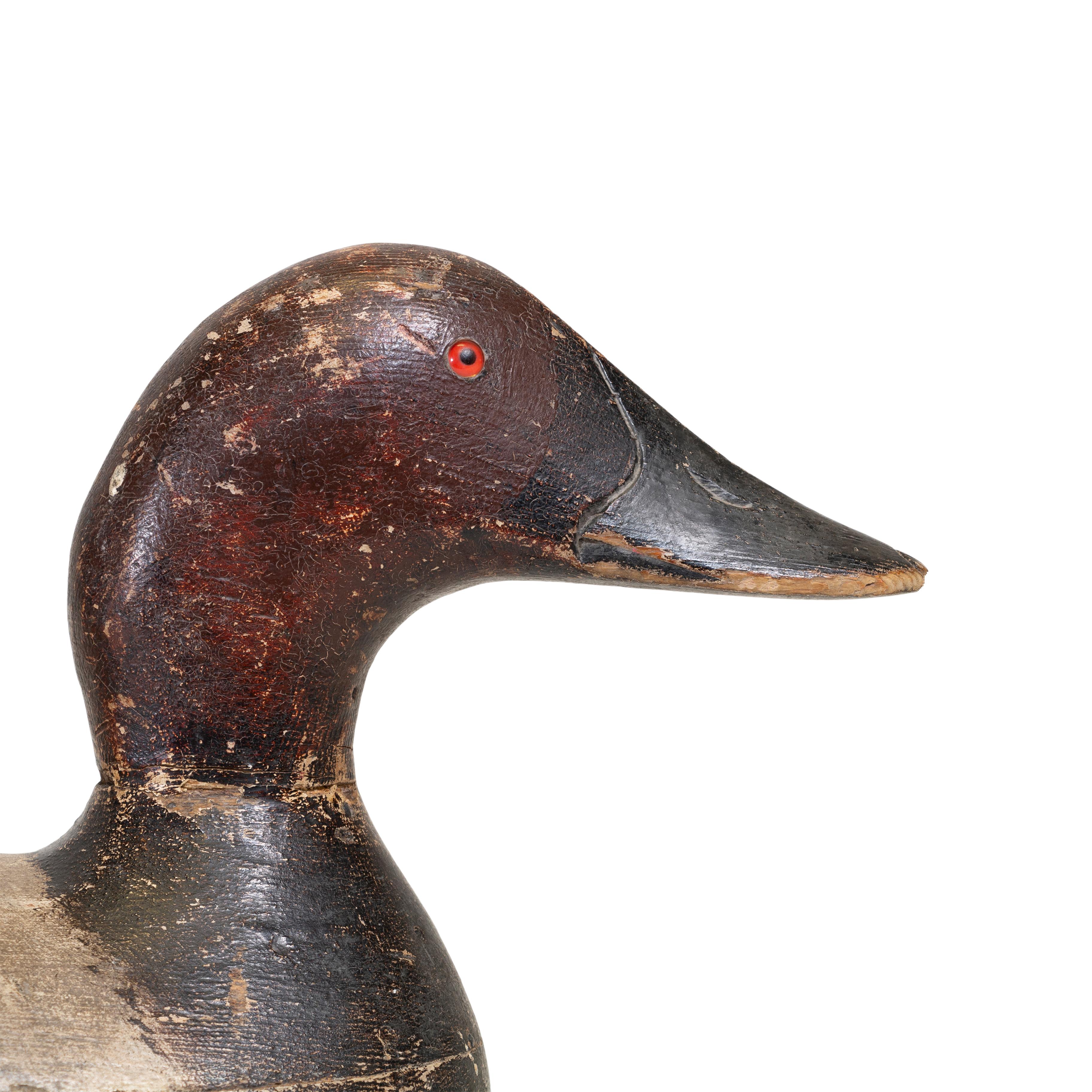 Pair of Mason Detroit Grade Canvasback Decoys, circa 1920 In Good Condition For Sale In Coeur d'Alene, ID