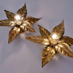 Pair of Massive Flower Wall Lights, Belgium, 1970
