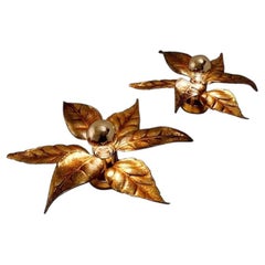 Pair of Massive Flower Wall Lights, Belgium, 1970