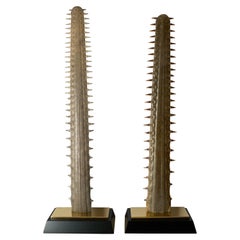 Pair of Massive Sawfish Rostrums / Bills