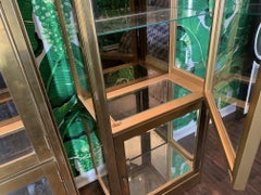 Pair of Mastercraft Brass and Glass Vitrine Display Cabinets
