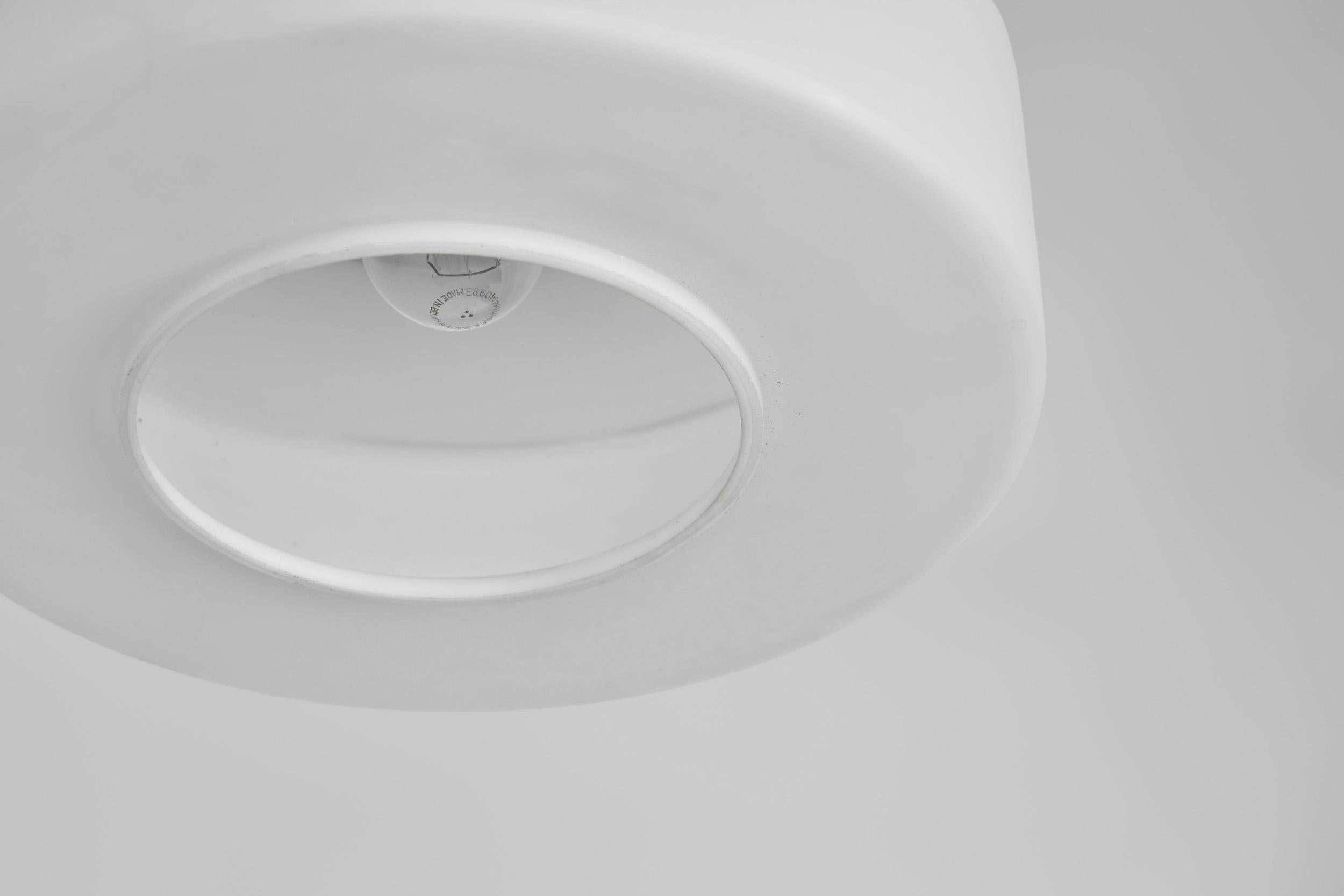 Pair of Matte Opal Glass Ceiling Lamps, The Netherlands 1960s For Sale 4