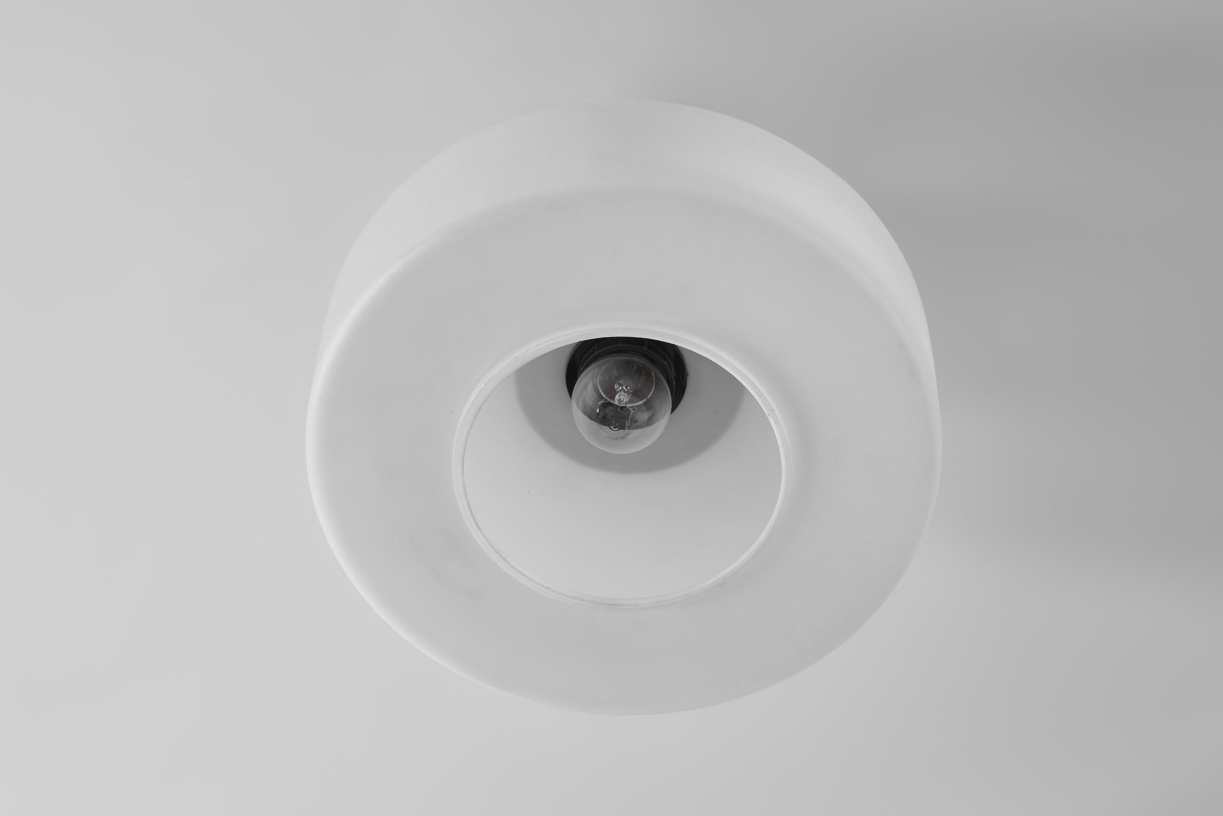 Pair of Matte Opal Glass Ceiling Lamps, The Netherlands 1960s For Sale 6