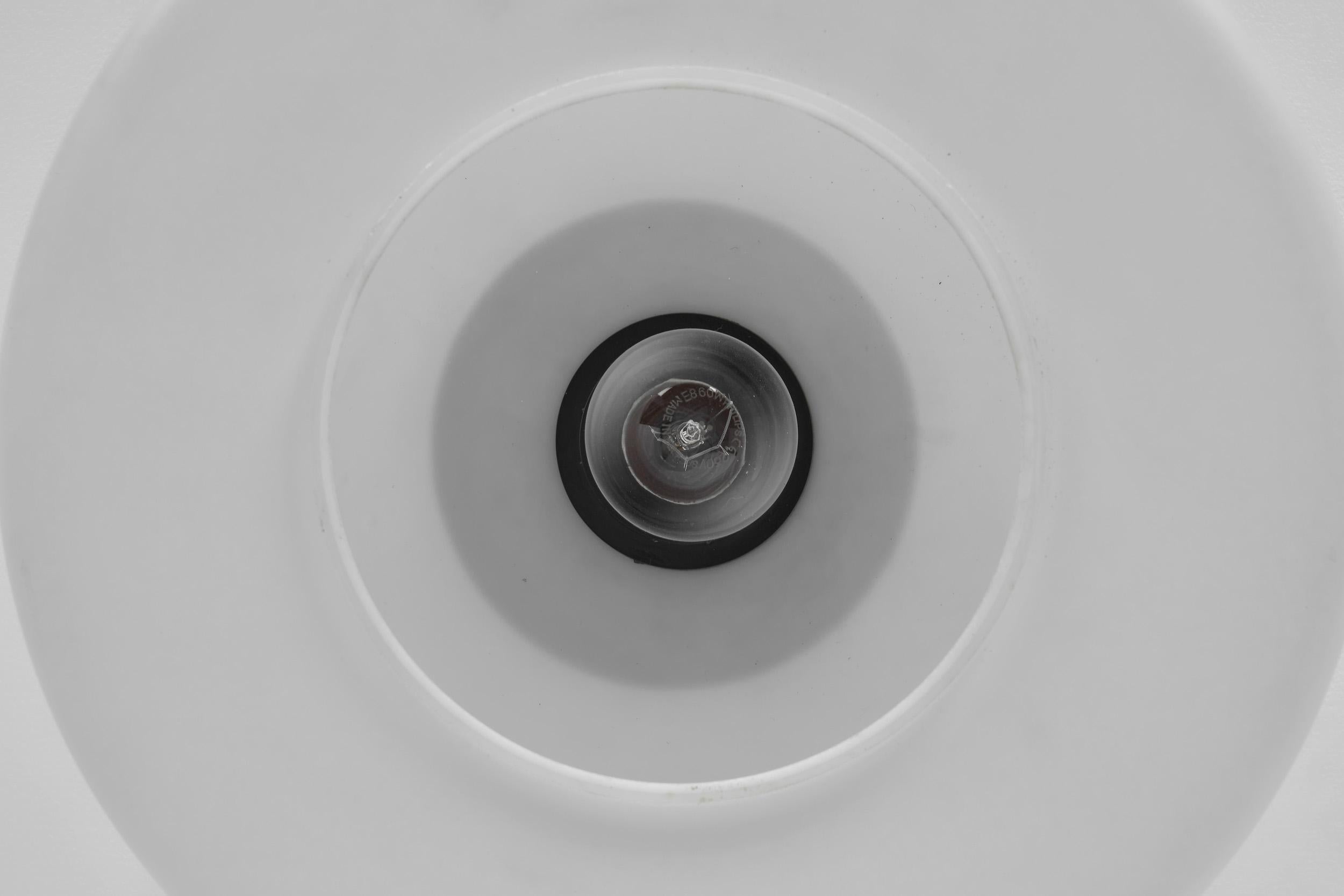 Pair of Matte Opal Glass Ceiling Lamps, The Netherlands 1960s For Sale 7