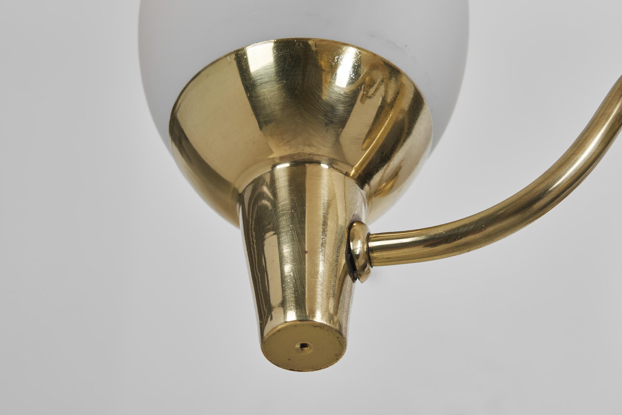 Coppia di lampadari 