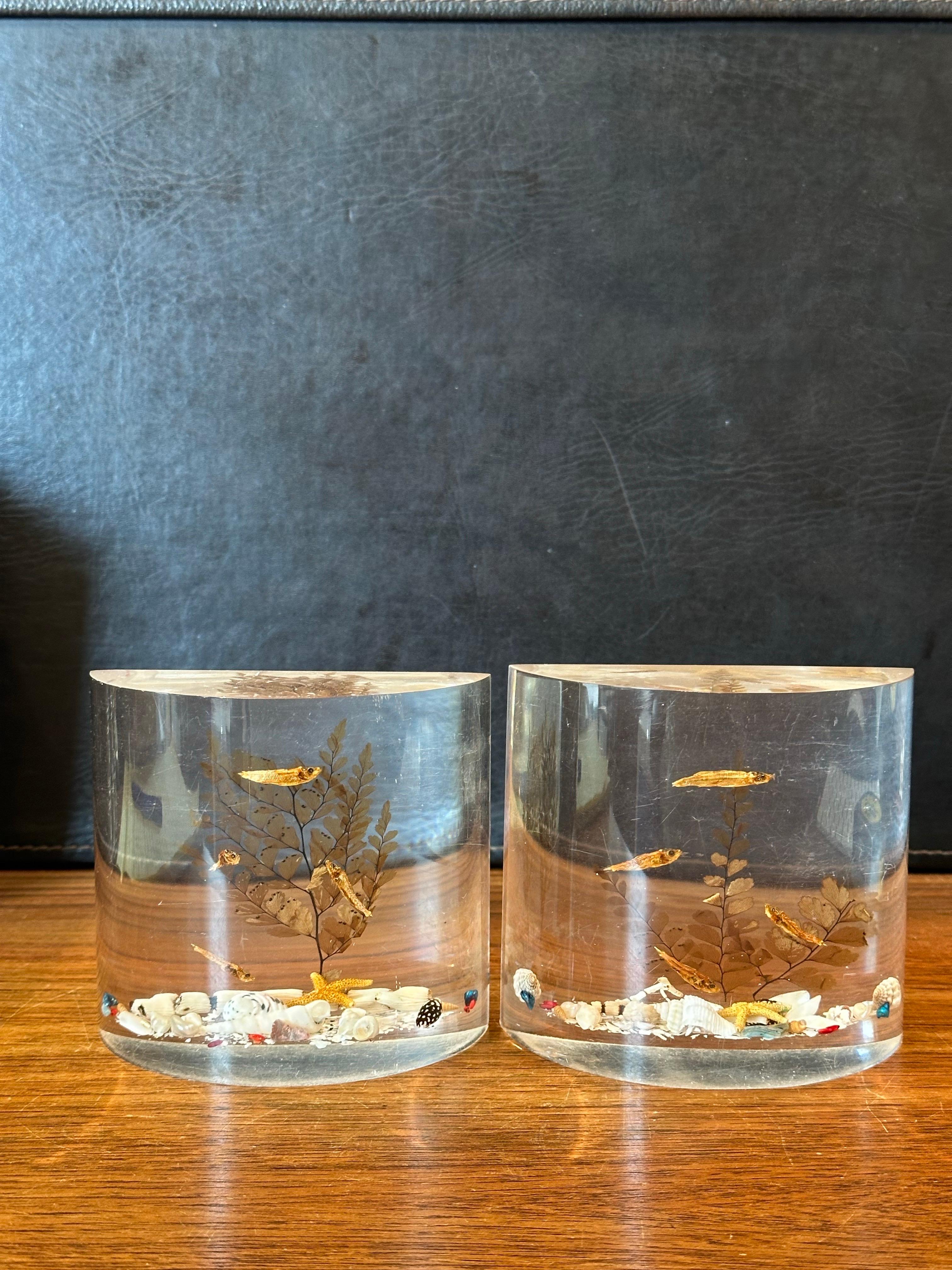 Par de sujetalibros MCM Lucite 