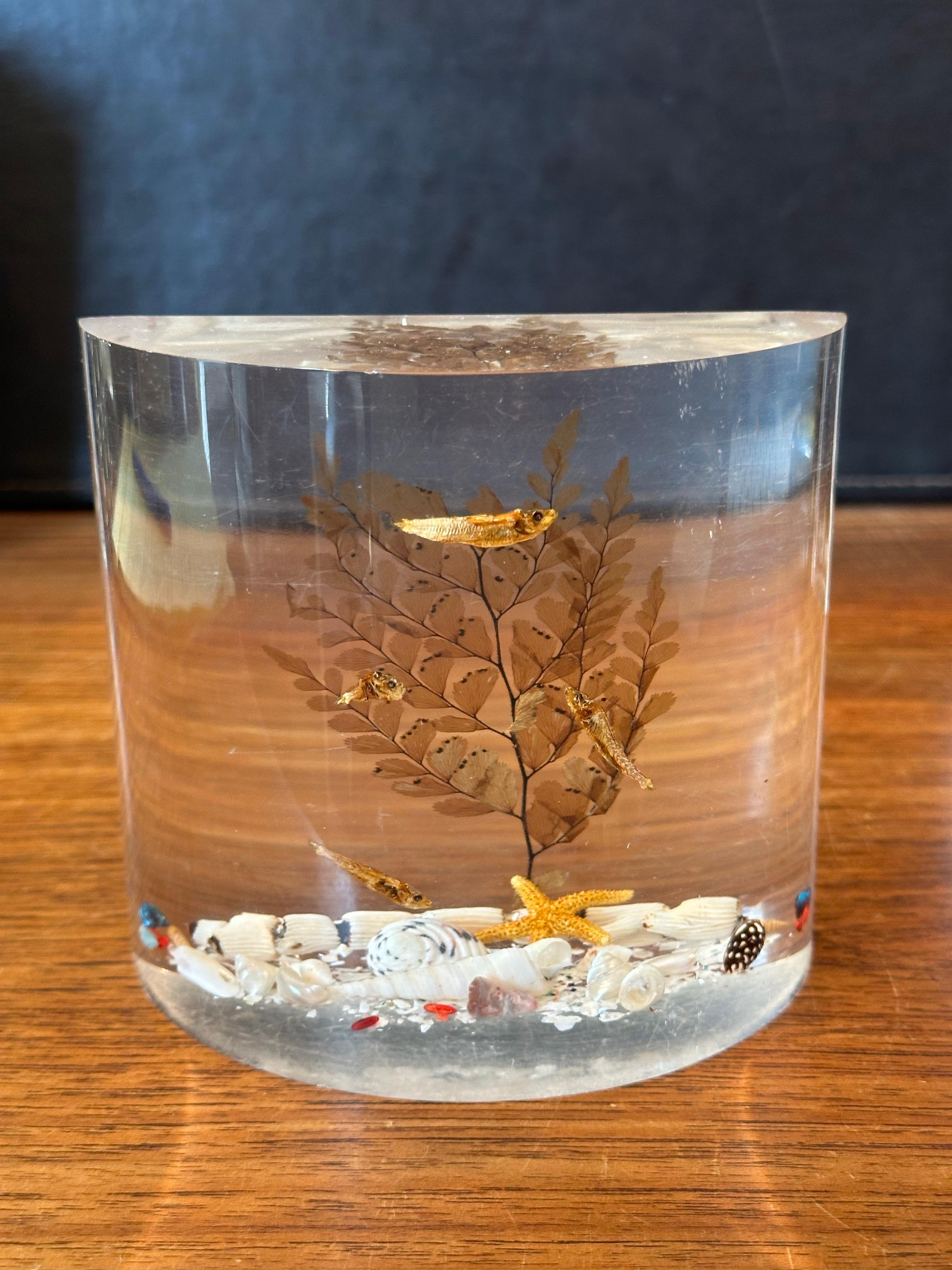 Par de sujetalibros MCM Lucite 