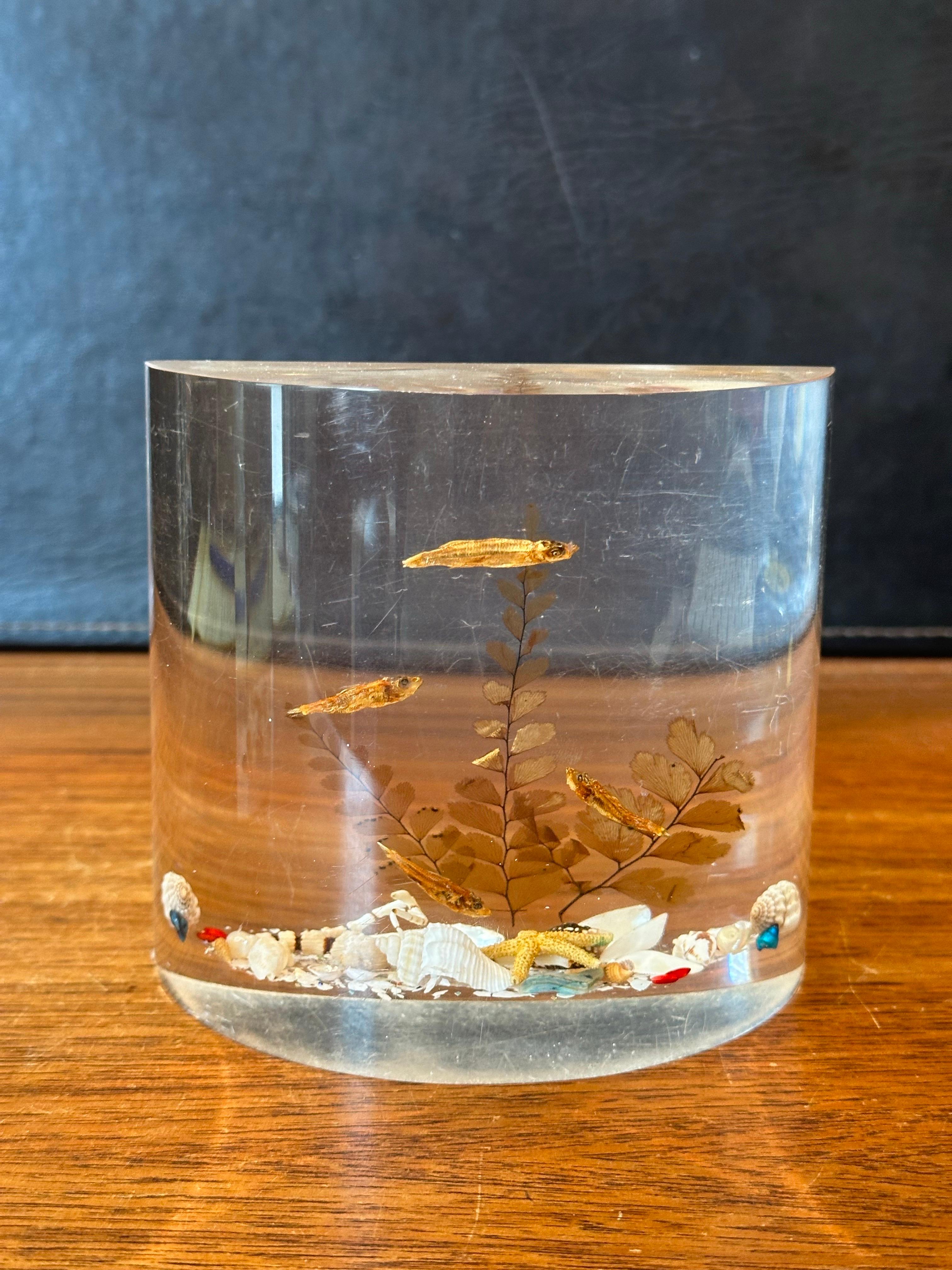 Par de sujetalibros MCM Lucite 