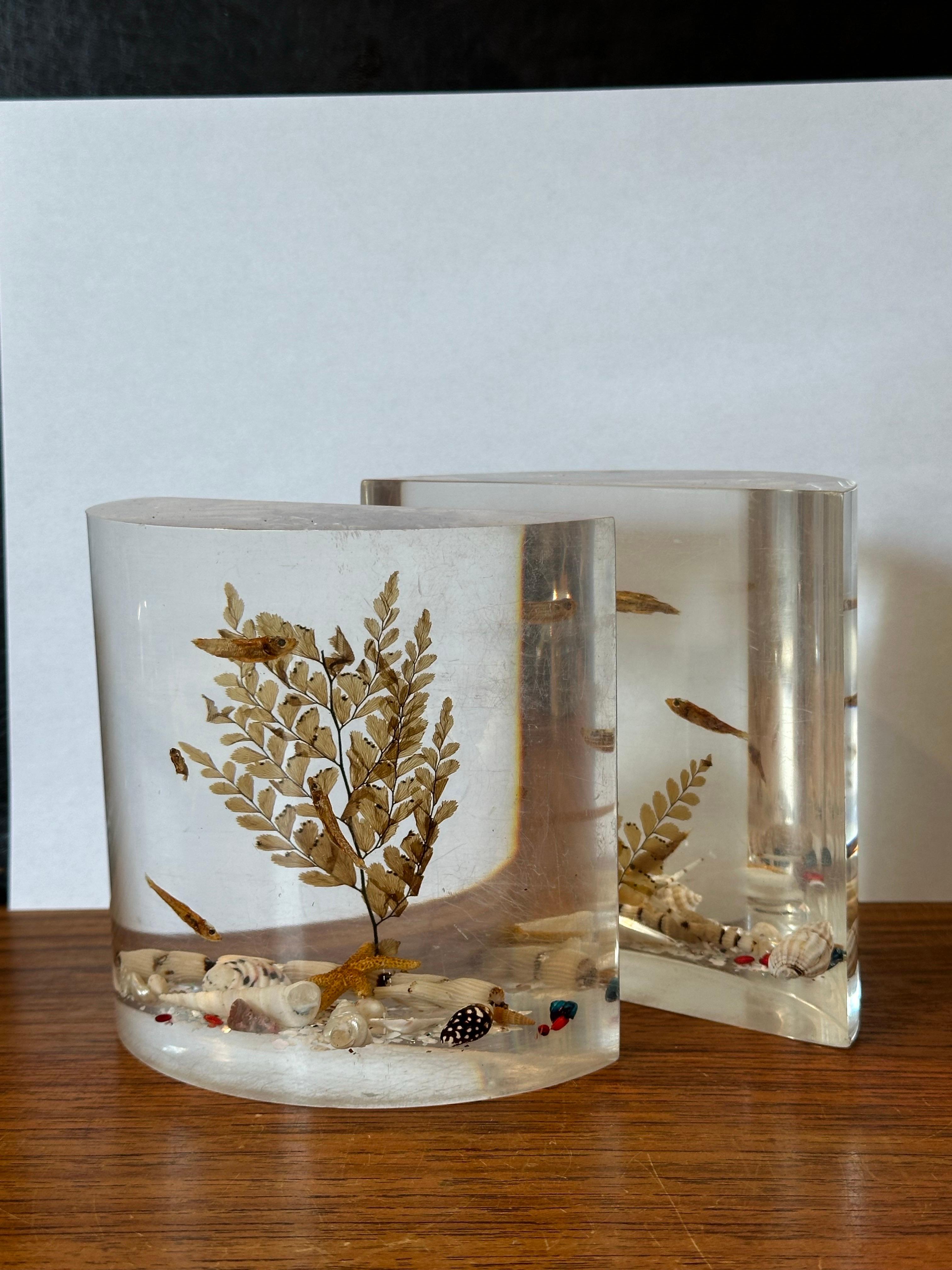 Par de sujetalibros MCM Lucite 