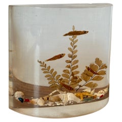 Pair of MCM Lucite "Aquarium" Bookends
