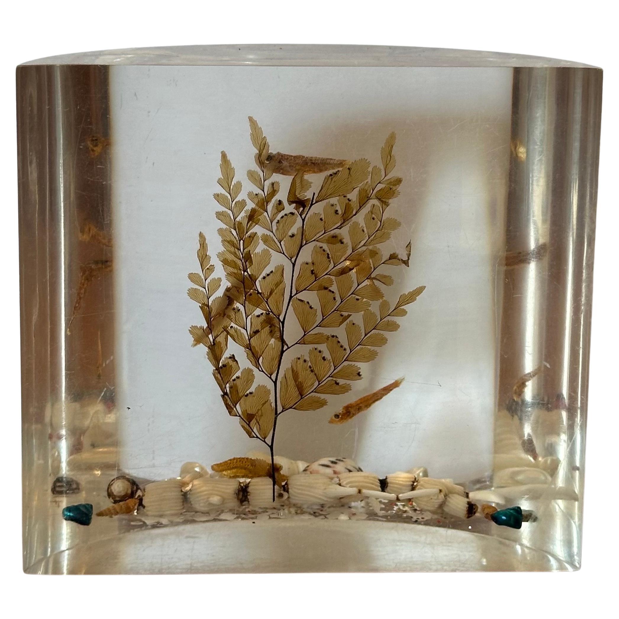 Par de sujetalibros MCM Lucite 