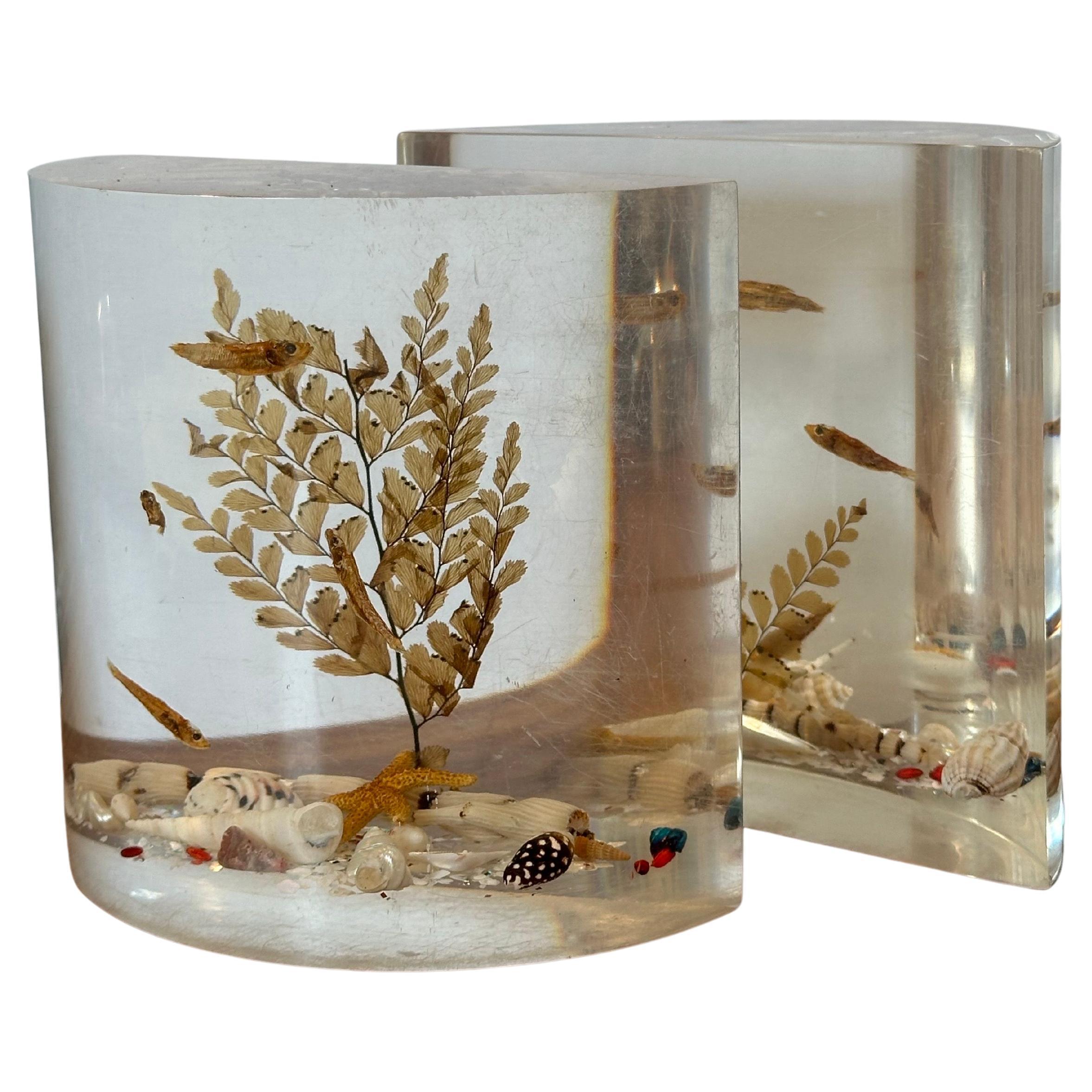 Pair of MCM Lucite "Aquarium" Bookends
