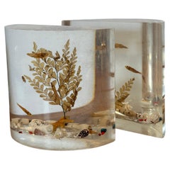 Paire de serre-livres « Aquarium » en lucite MCM