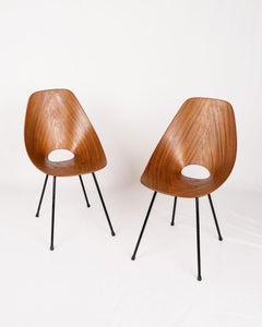 Pair of Medea chairs by Vittorio Nobili for Fratelli Tagliabue, Italy, 1955