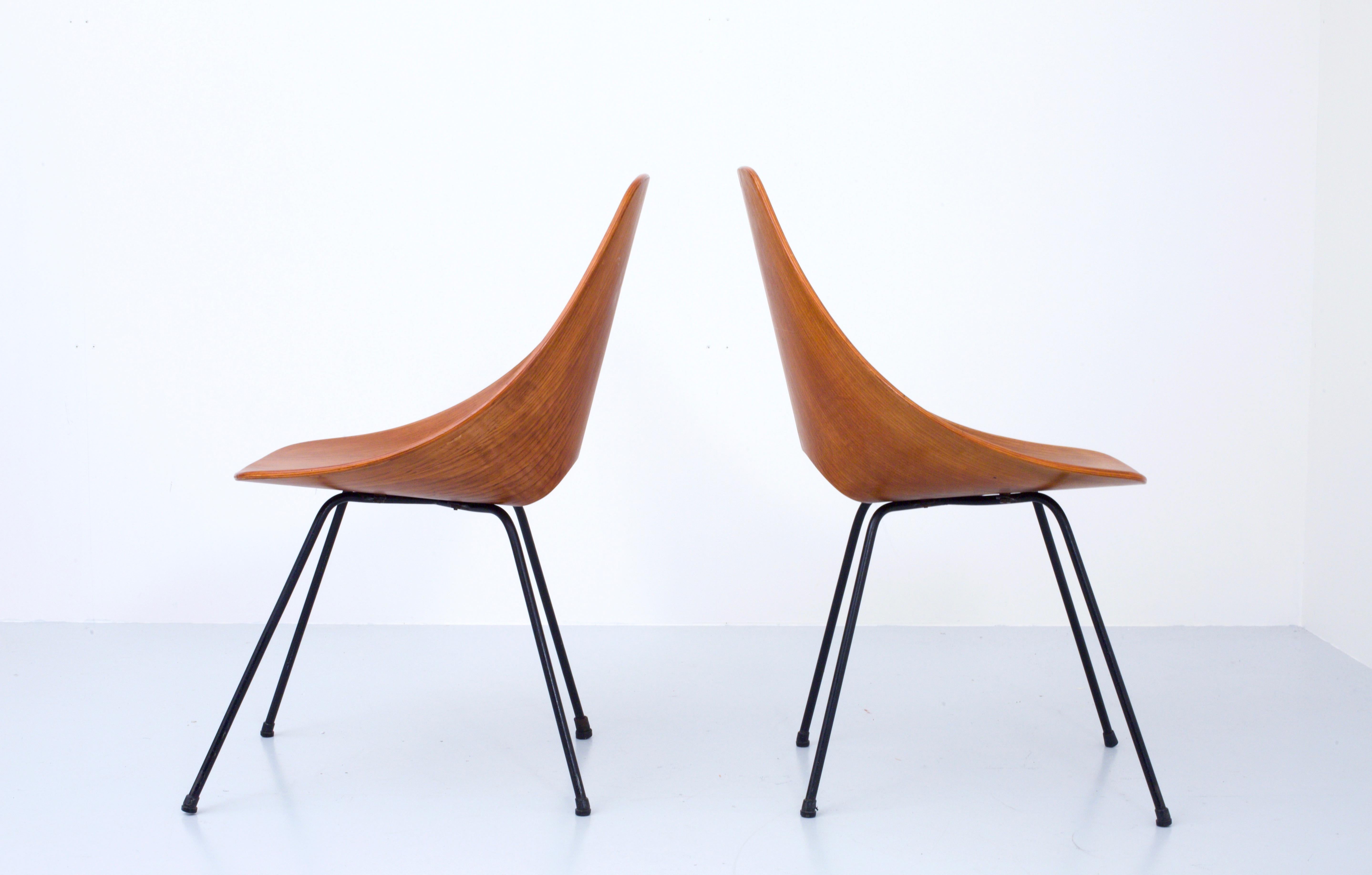 Mid-Century Modern Pair of ‘Medea’ Dining Chairs by Vitorio Nobili, Italy, 1950s