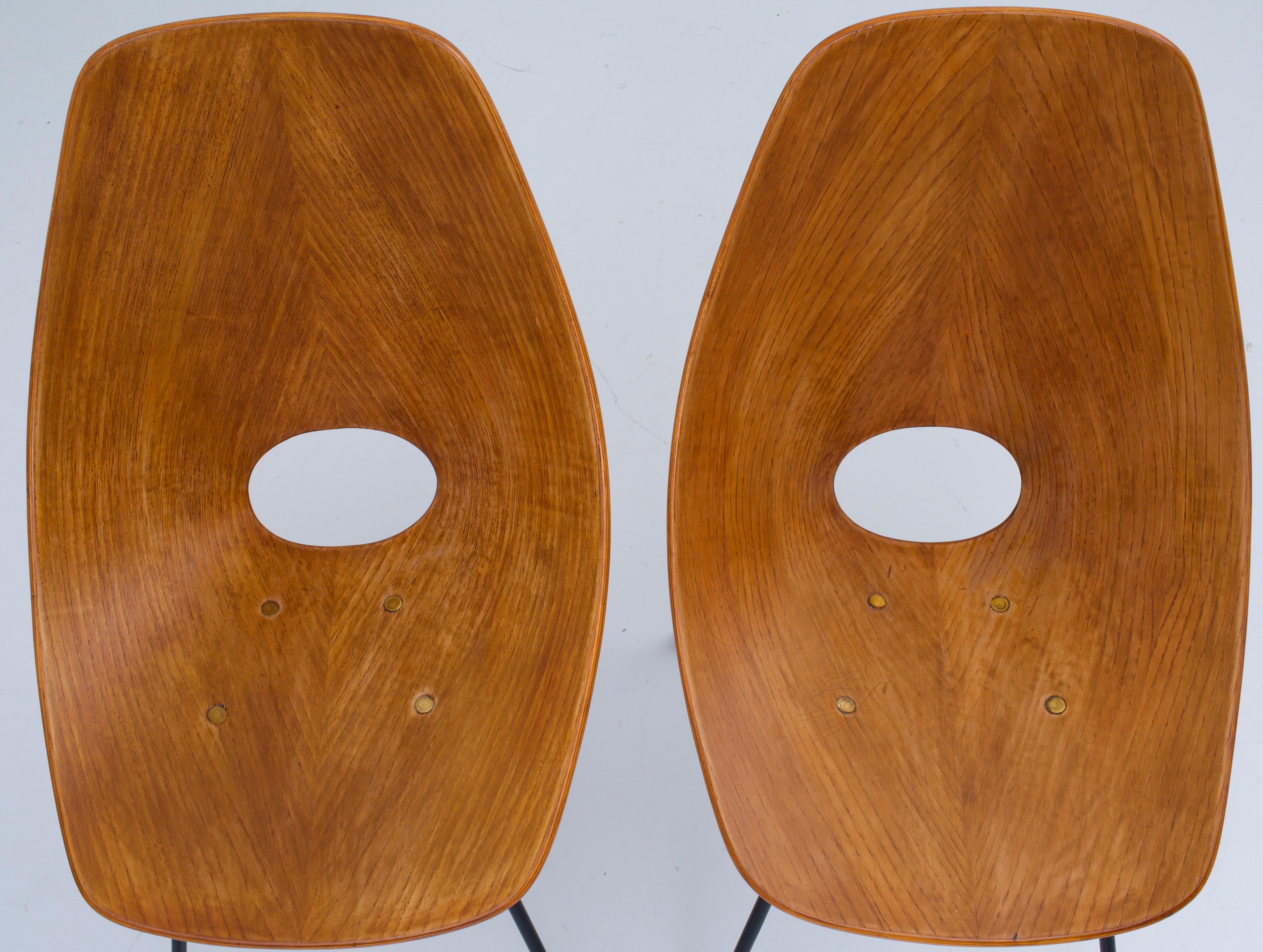 Pair of ‘Medea’ Dining Chairs by Vitorio Nobili, Italy, 1950s In Excellent Condition In Amsterdam, NL