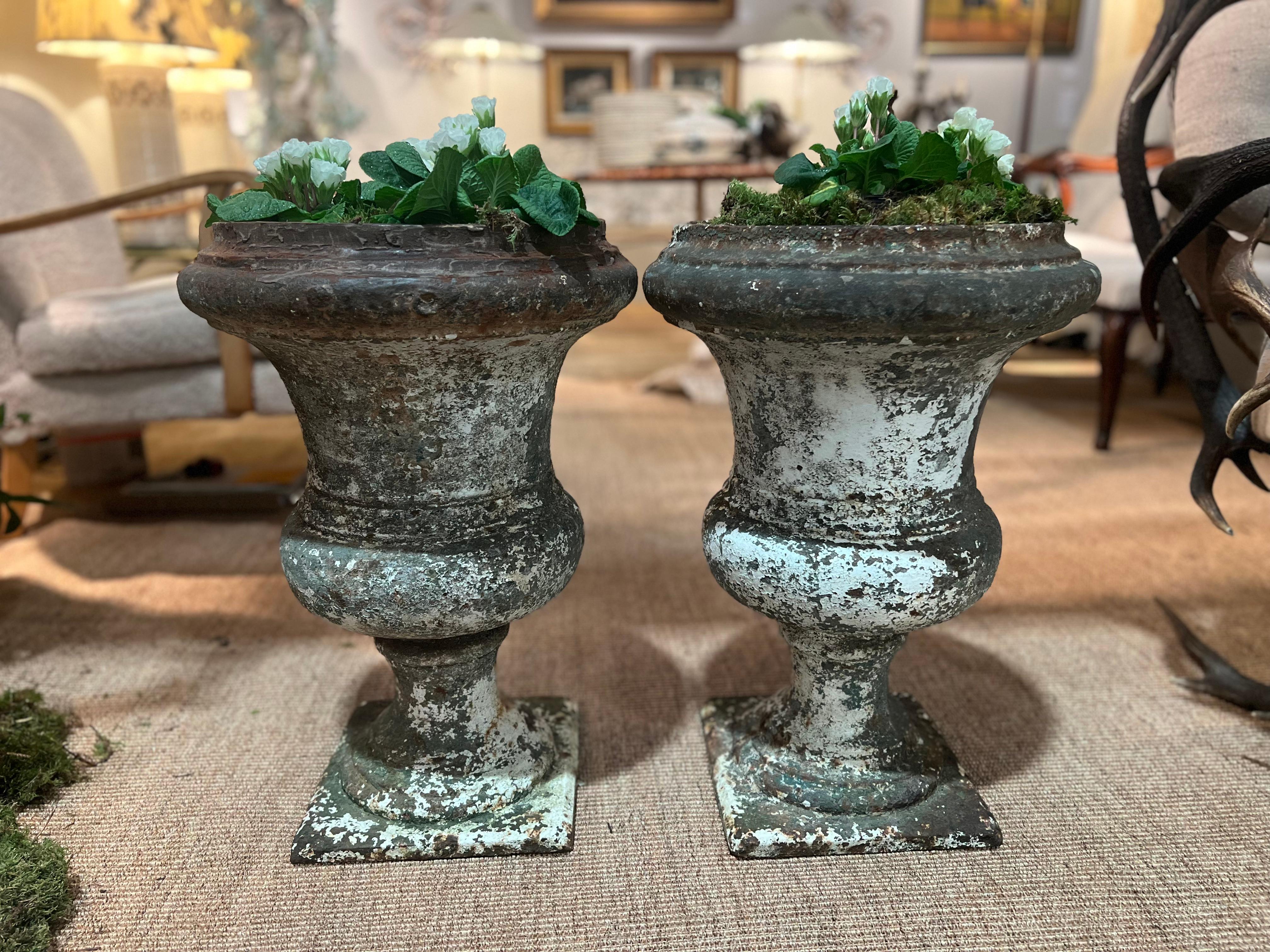 Esta exquisita pareja de jarrones franceses Medici del siglo XIX, de hierro fundido blanco, encarna la perdurable elegancia de la ornamentación clásica de los jardines. Inspirados en el jarrón original de los Medici del siglo XVI de la Galería