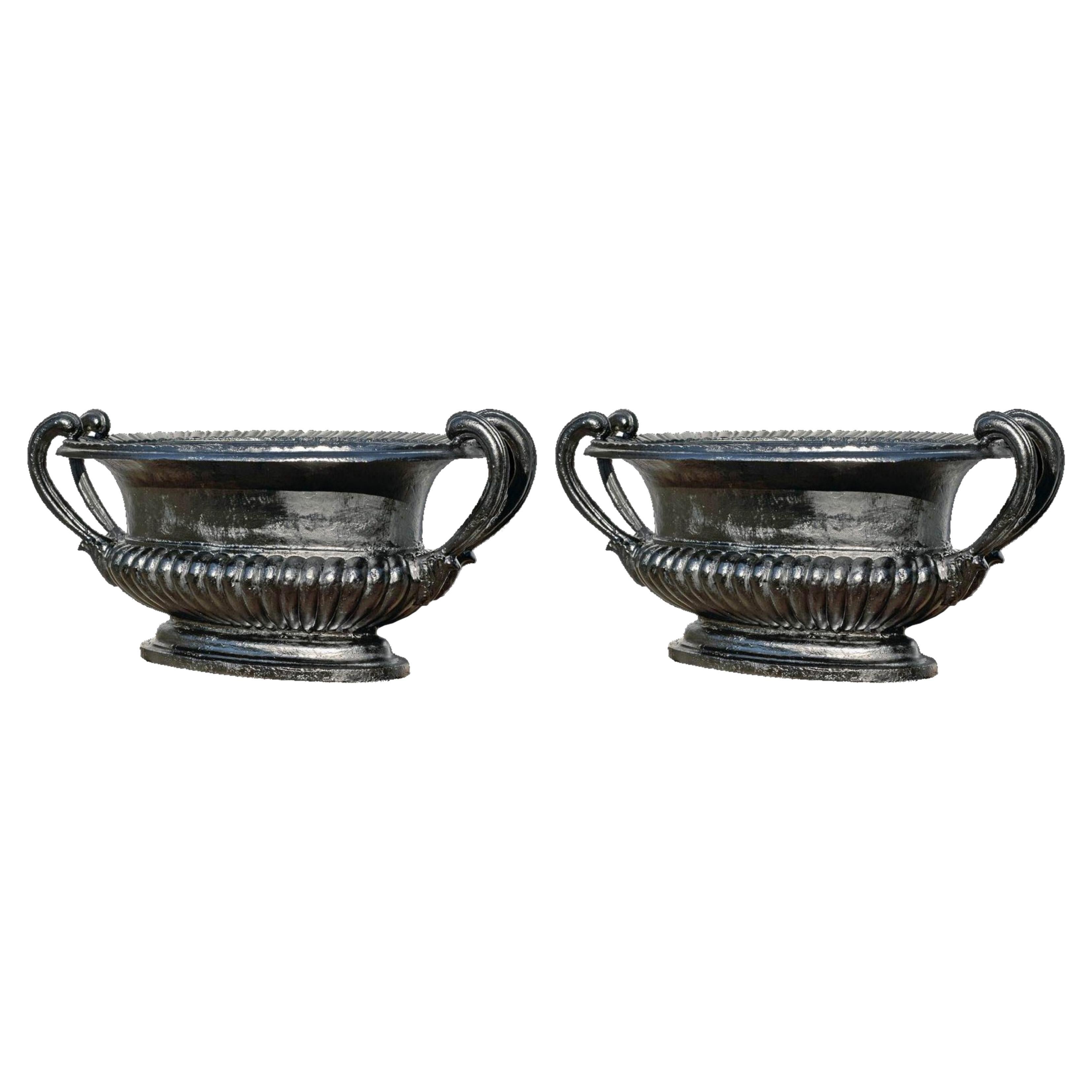 Pair of Medici - Tuscany Pot with Handles Early 20th Century For Sale