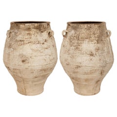 pair of Mediterranean 19th century patinated Terra Cotta olive jars