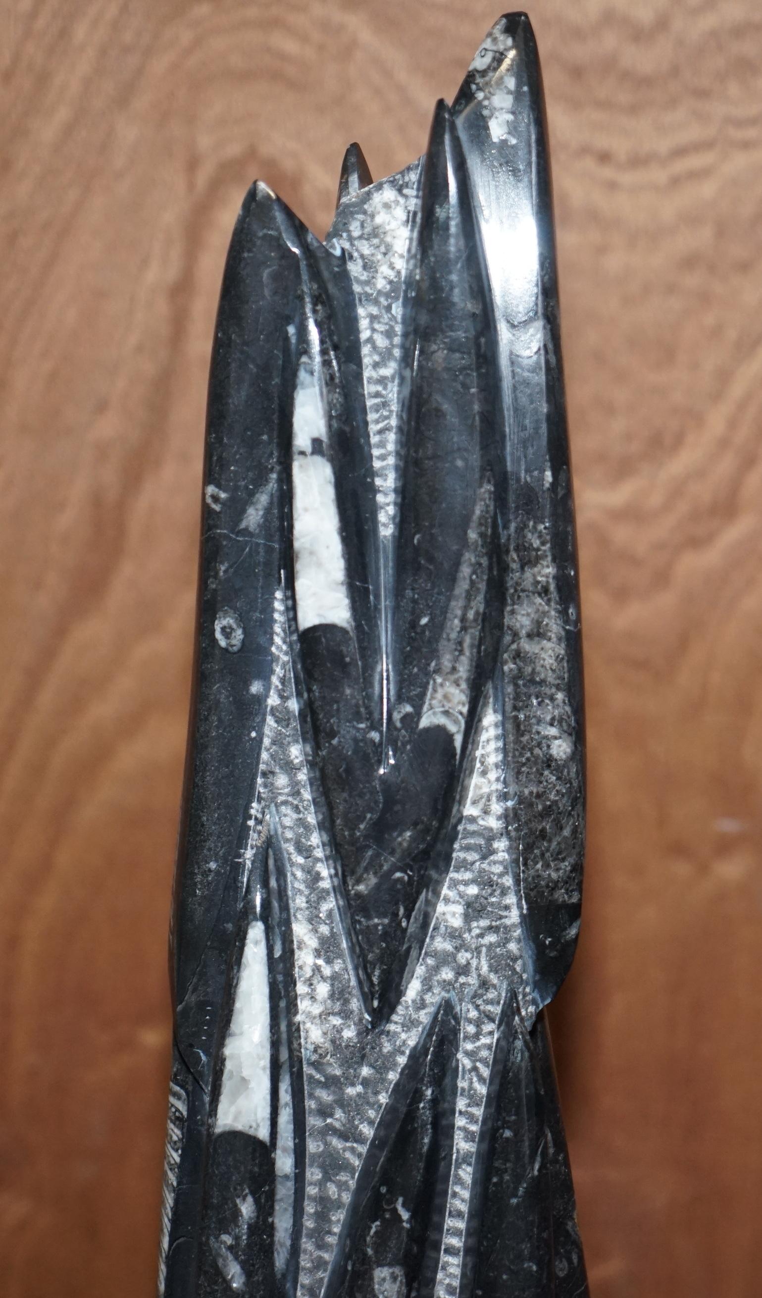 Natural Fiber Pair of Medium 395 Million Year Old Fossilized Orthoceras Marble Finish Statues For Sale