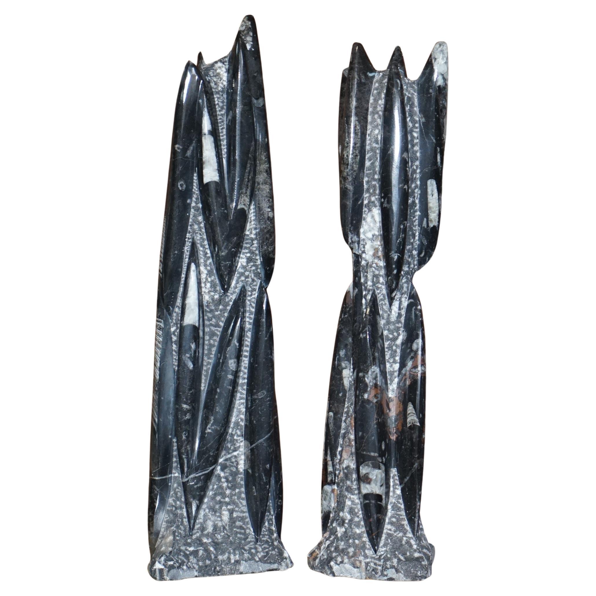 Pair of Medium 395 Million Year Old Fossilized Orthoceras Marble Finish Statues For Sale