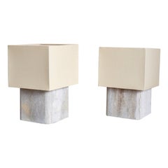 Coppia di lampade medie di Willy Guhl