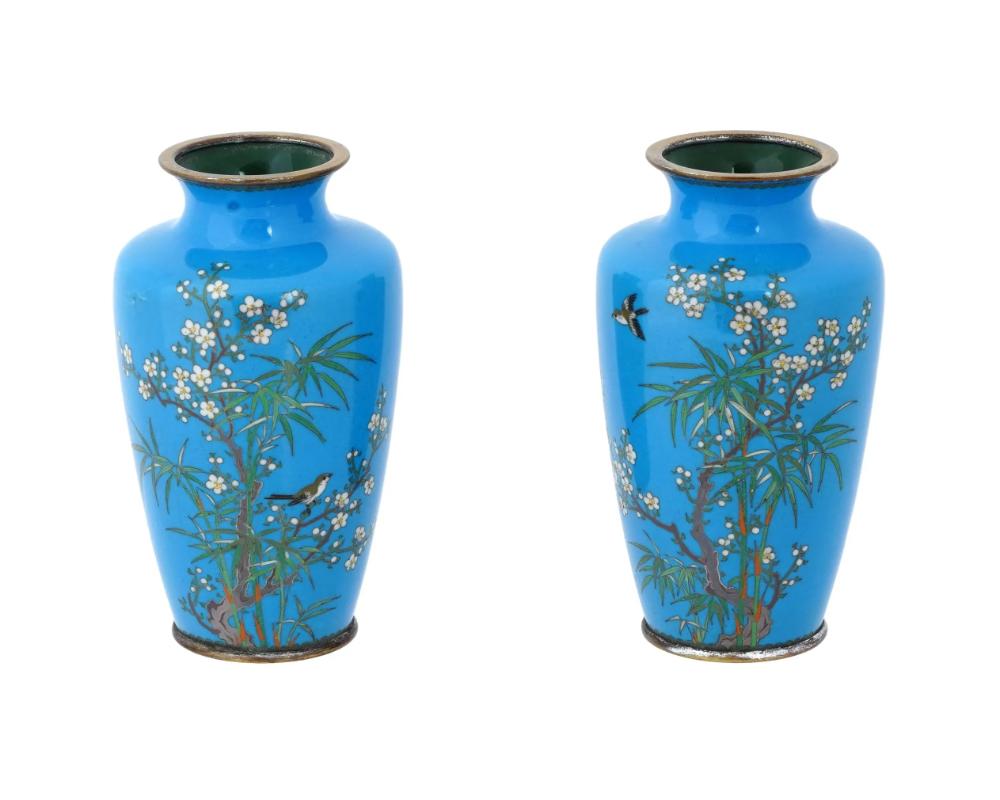 A pair of identical antique Japanese, late Meiji era, Silver wire enamel vases. Each vase has an urn shaped body and a wide fluted neck. Each vase is enameled with polychrome images of sparrow birds in bamboo trees and blossoming sakura trees on the