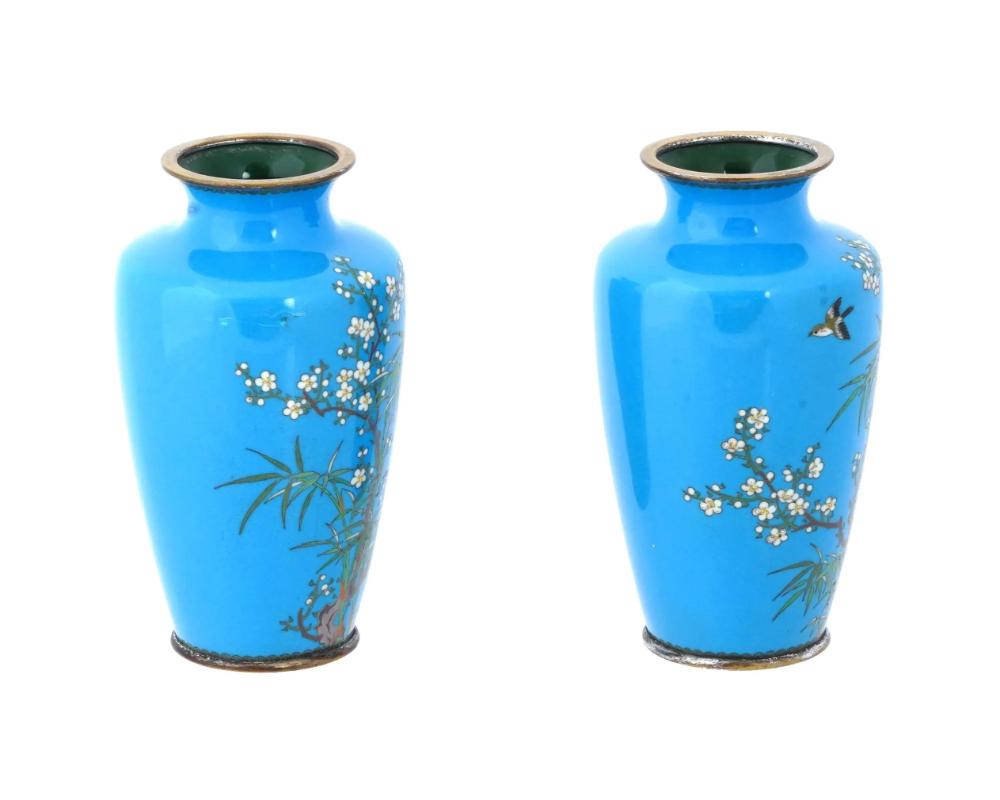 Cloissoné Pair of Meiji Japanese Cloisonne Turquoise Enamel Silver Birds In Bamboo Vases For Sale