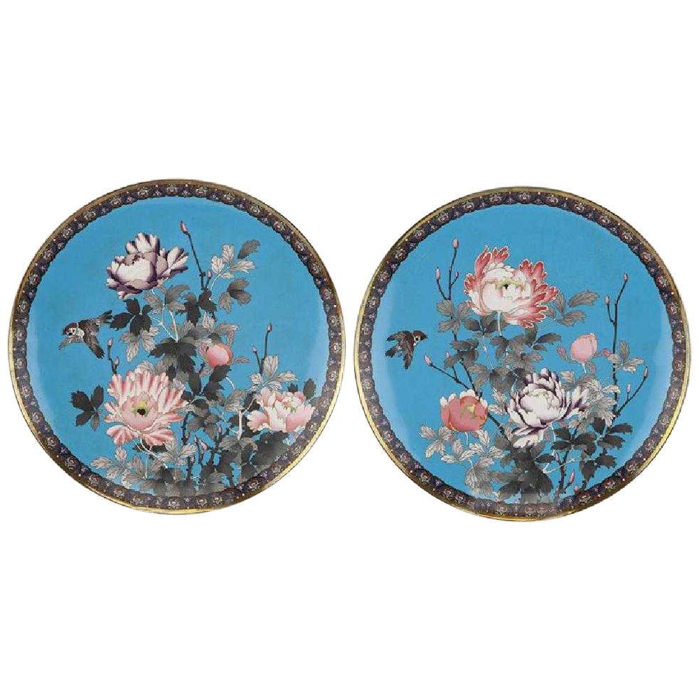 Pair of Meiji Period Japanese Cloisonne Chargers, 19th Century