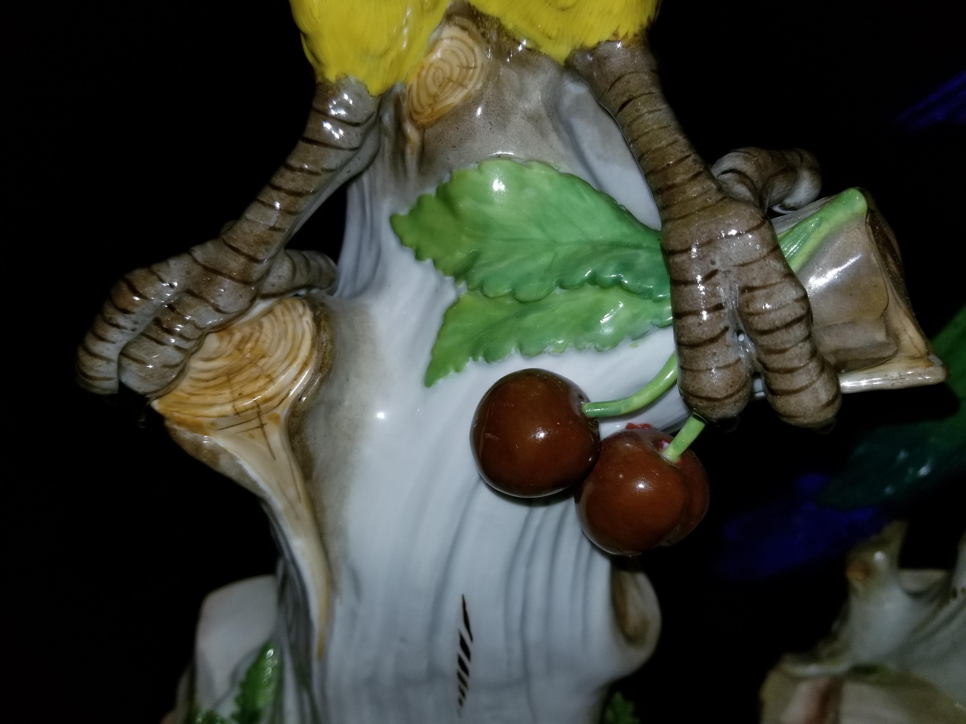 Paire de figurines en porcelaine de Meissen représentant des perroquets debout sur des branches avec des cerises en vente 9