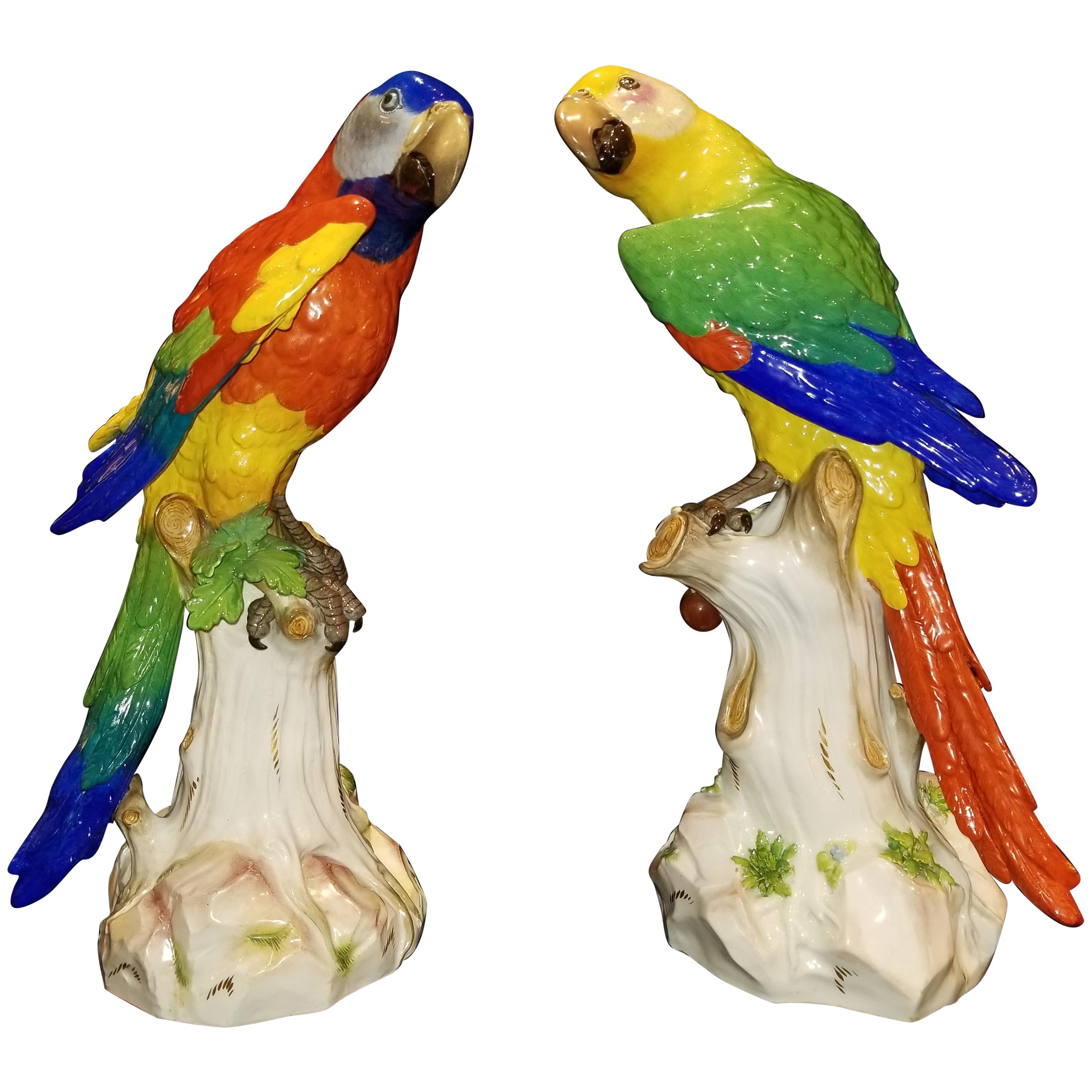 Pair of Meissen Porcelain Figures of Parrots Standing on Branches W/ Cherries For Sale