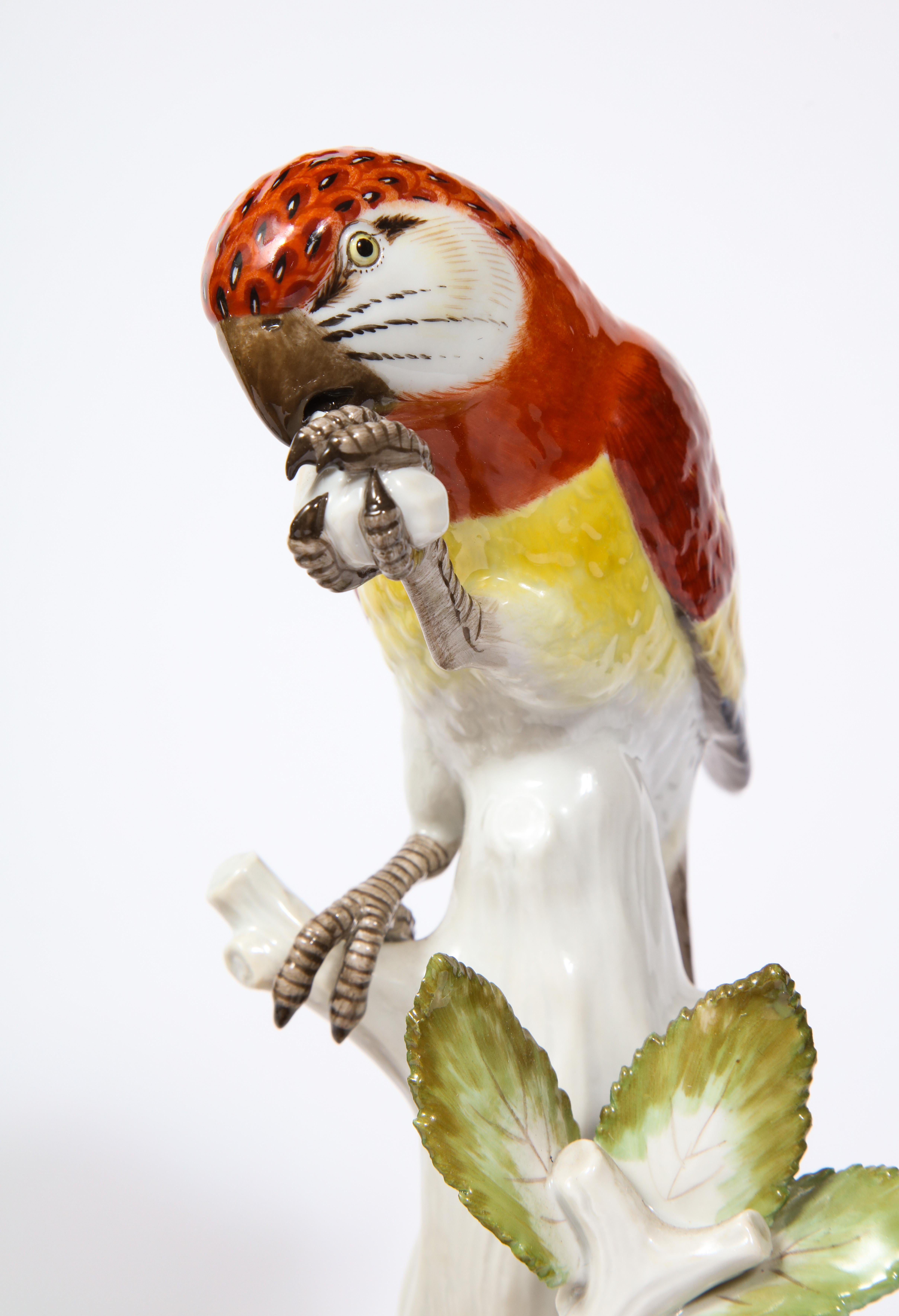 Pair of Meissen Porcelain Figures of Parrots with Cherries, Insects and Flowers 5