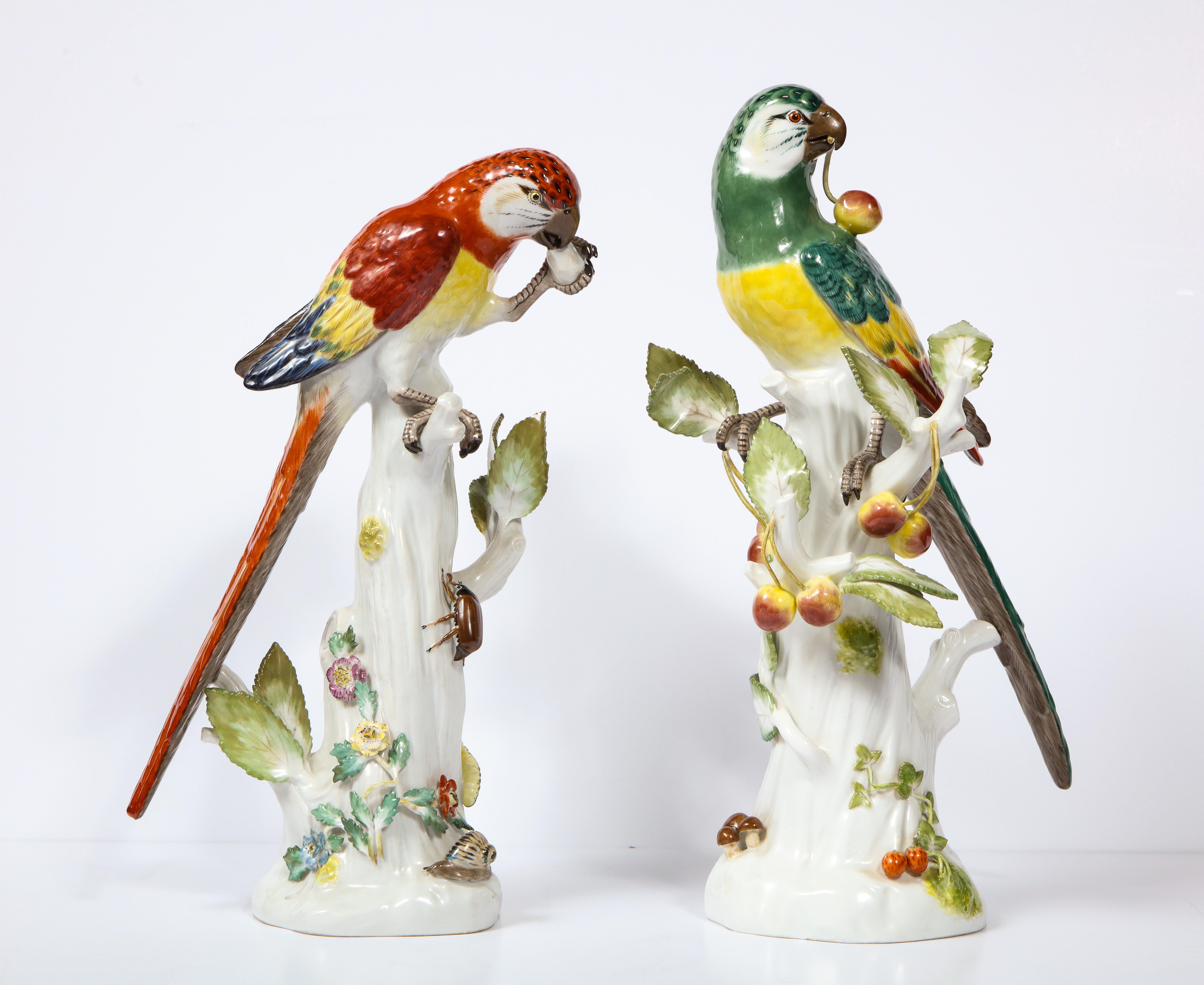 A fine pair of antique Meissen Porcelain figures of colorful parrots, each standing on a tree branch after a model by J. J. Kandler. One parrot is eating fruit while the other parrot bearing beautiful leaves on its branches is glaring into the