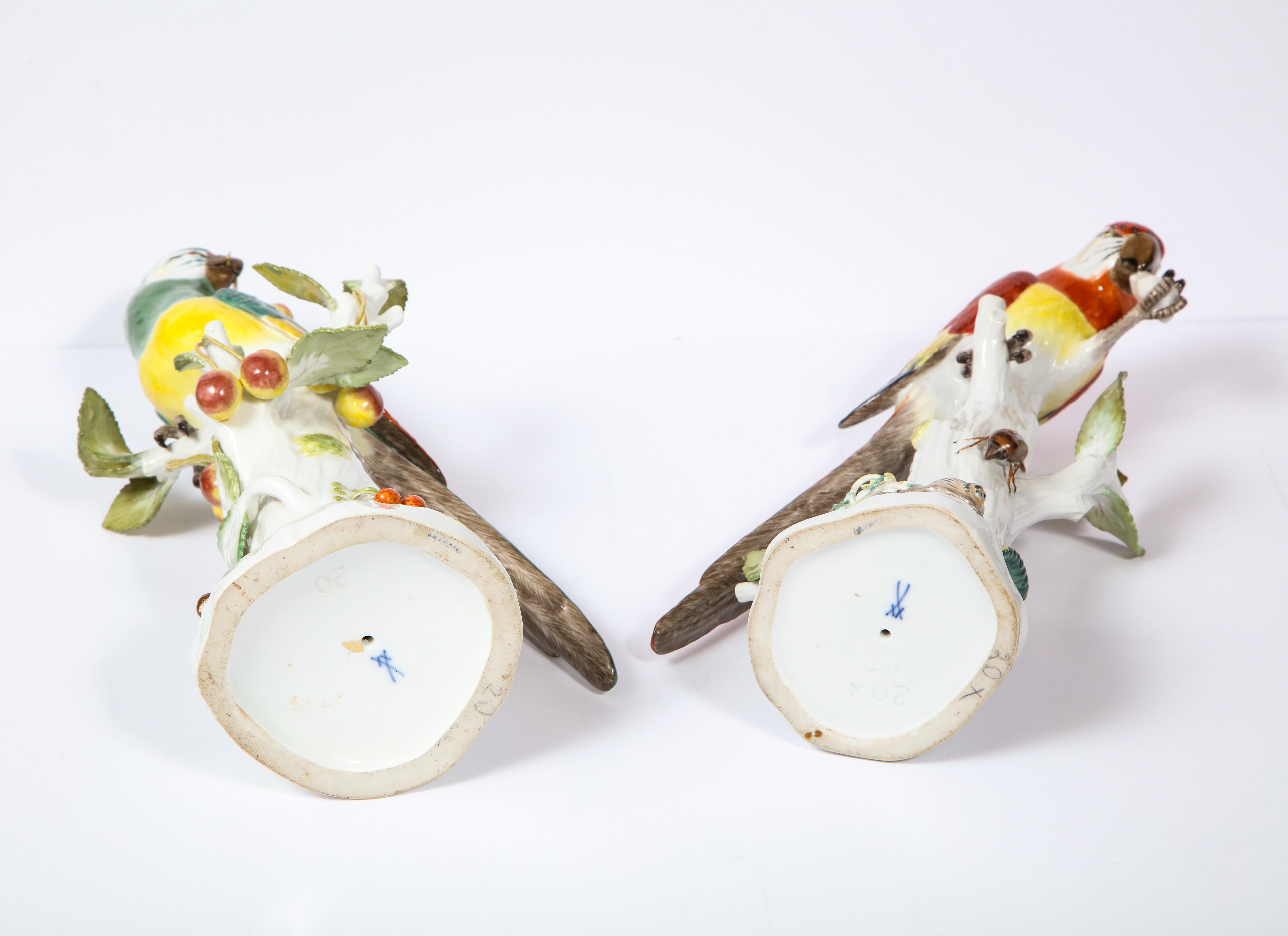 Pair of Meissen Porcelain Figures of Parrots with Cherries, Insects and Flowers 10